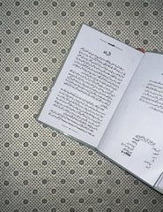 ALCHEMIST (Urdu Edition) by Paulo Coelho 