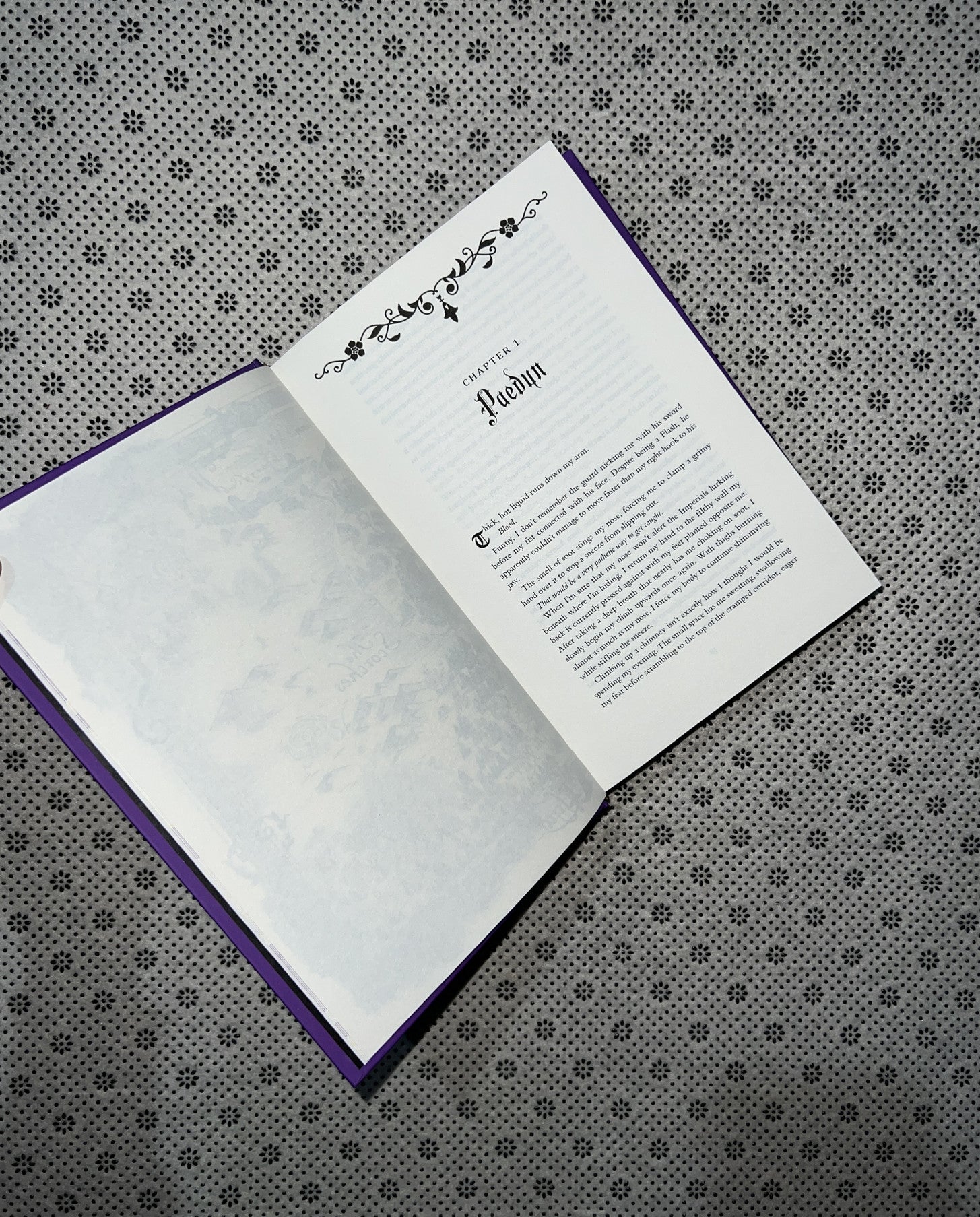 POWERLESS: The Powerless Trilogy (Book 1) (Ultra Deluxe Edition) by Lauren Roberts