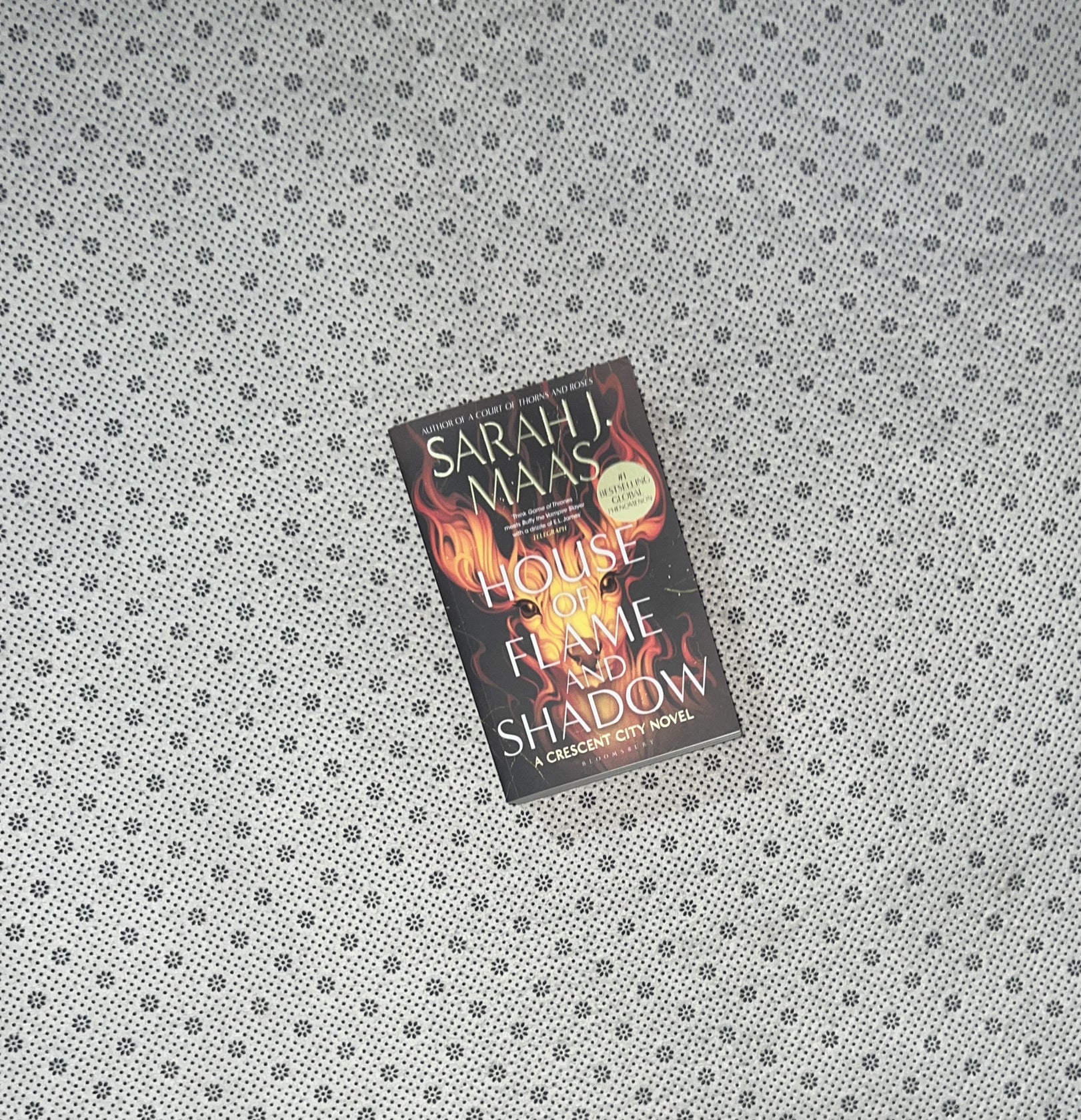 HOUSE OF FLAME AND SHADOW: Crescent City (Book 3) by Sarah J. Maas