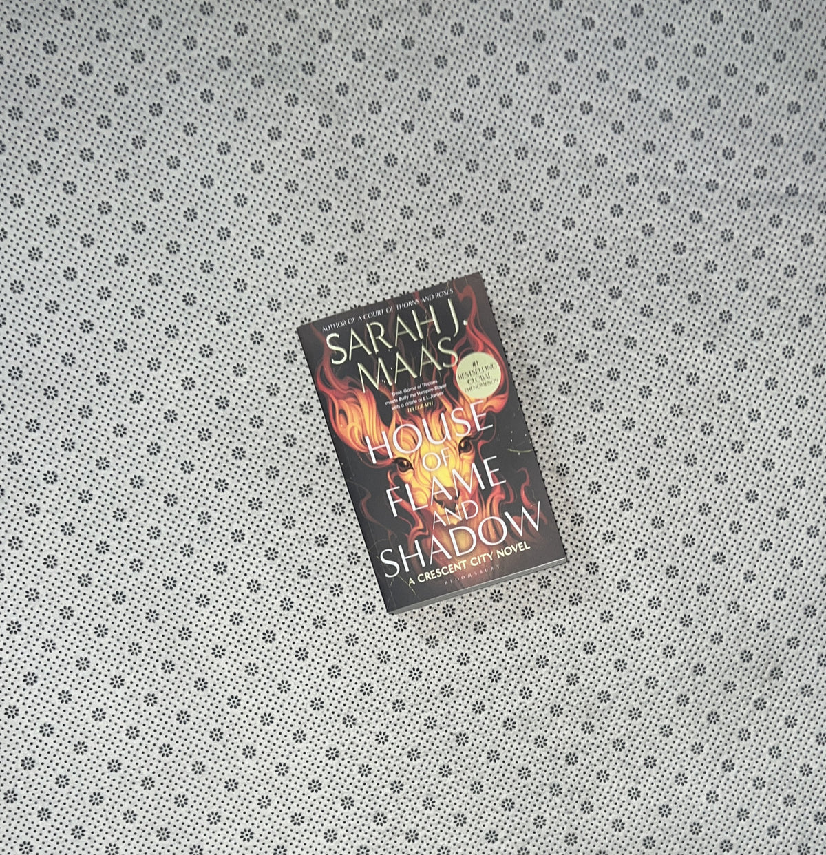HOUSE OF FLAME AND SHADOW: Crescent City (Book 3) by Sarah J. Maas