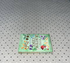 EMILY WILDE'S MAP OF THE OTHERLANDS: Emily Wilde Series (Book 2) by Heather Fawcett