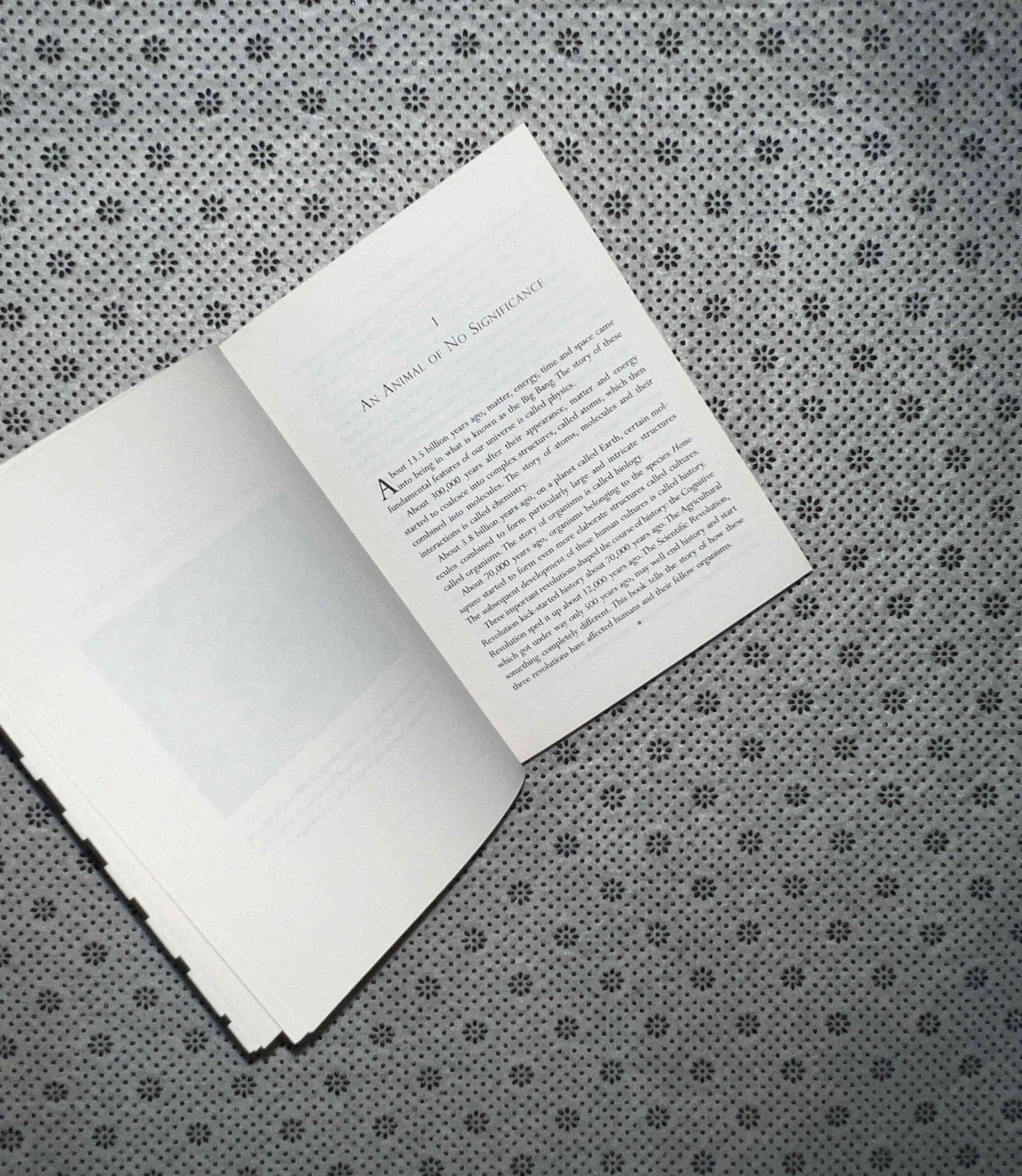 sapiens a brief history of humankind patterns of life by yuval noah harari