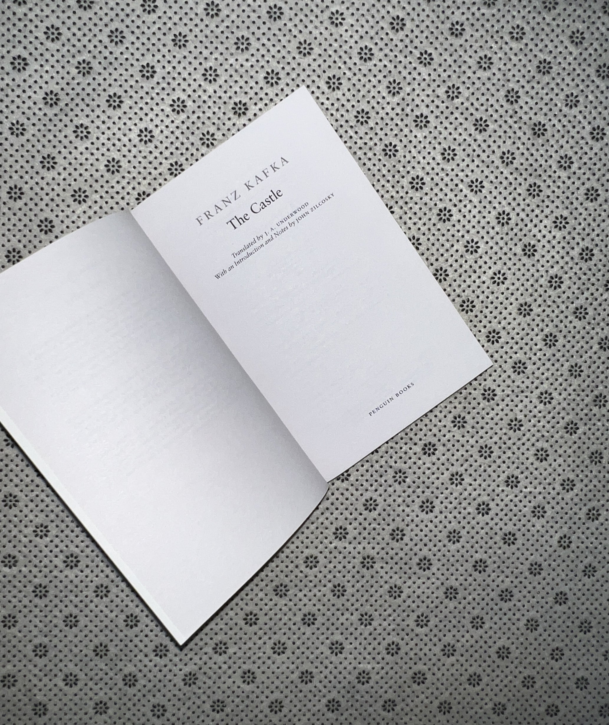 THE CASTLE by Franz Kafka