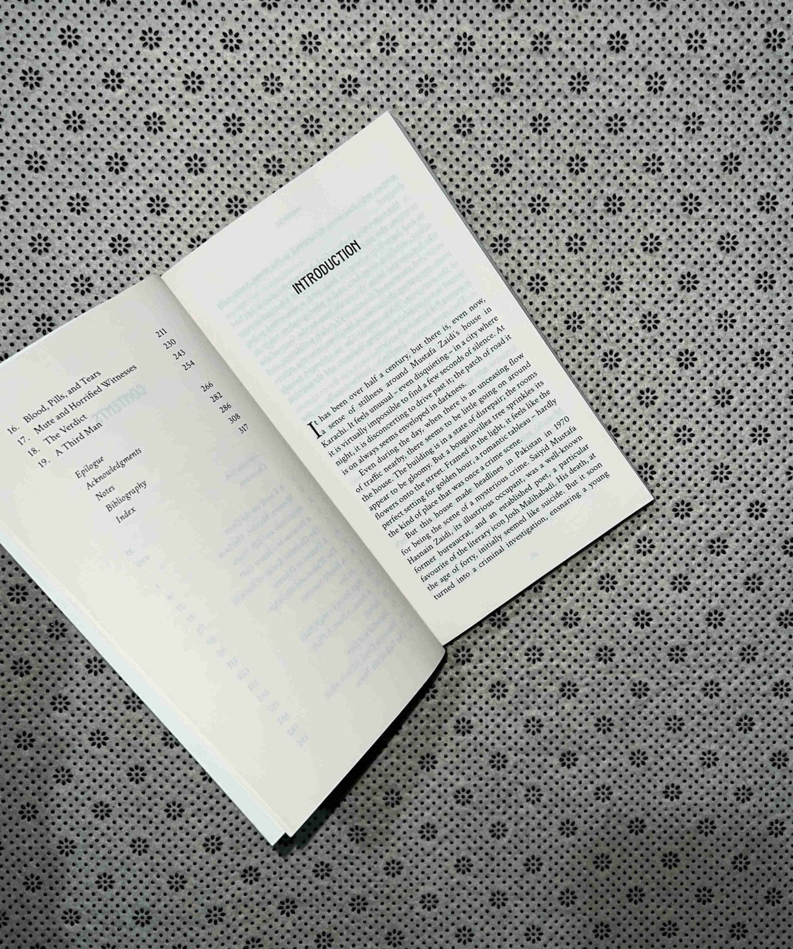 society girl a tale of sex lies and scandal by saba imtiaz