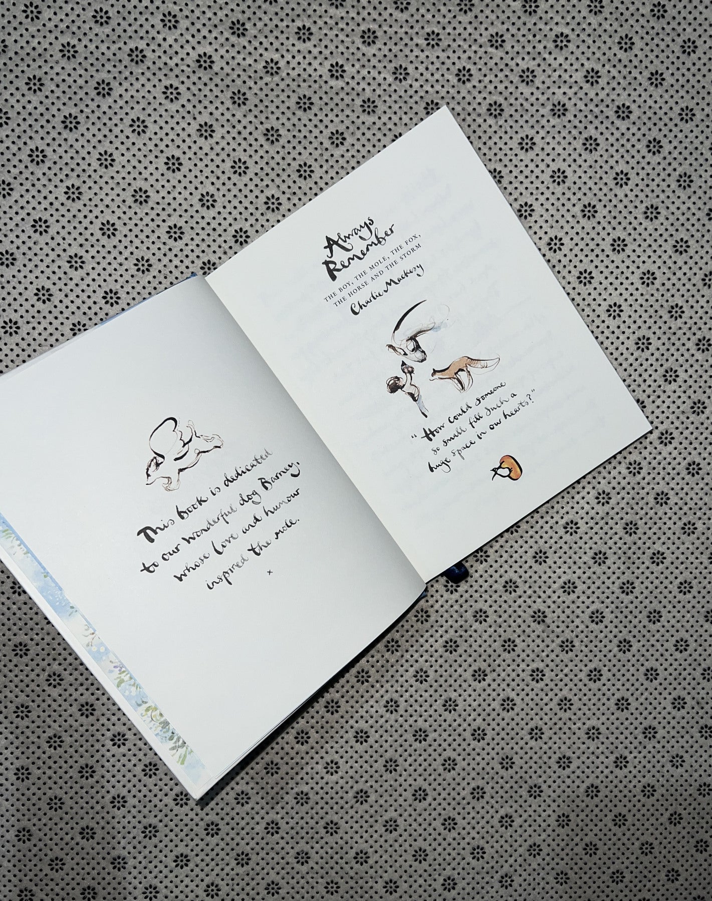 ALWAYS REMEMBER: THE BOY, THE MOLE, THE FOX, THE HORSE AND THE STORM by Charlie Mackesy