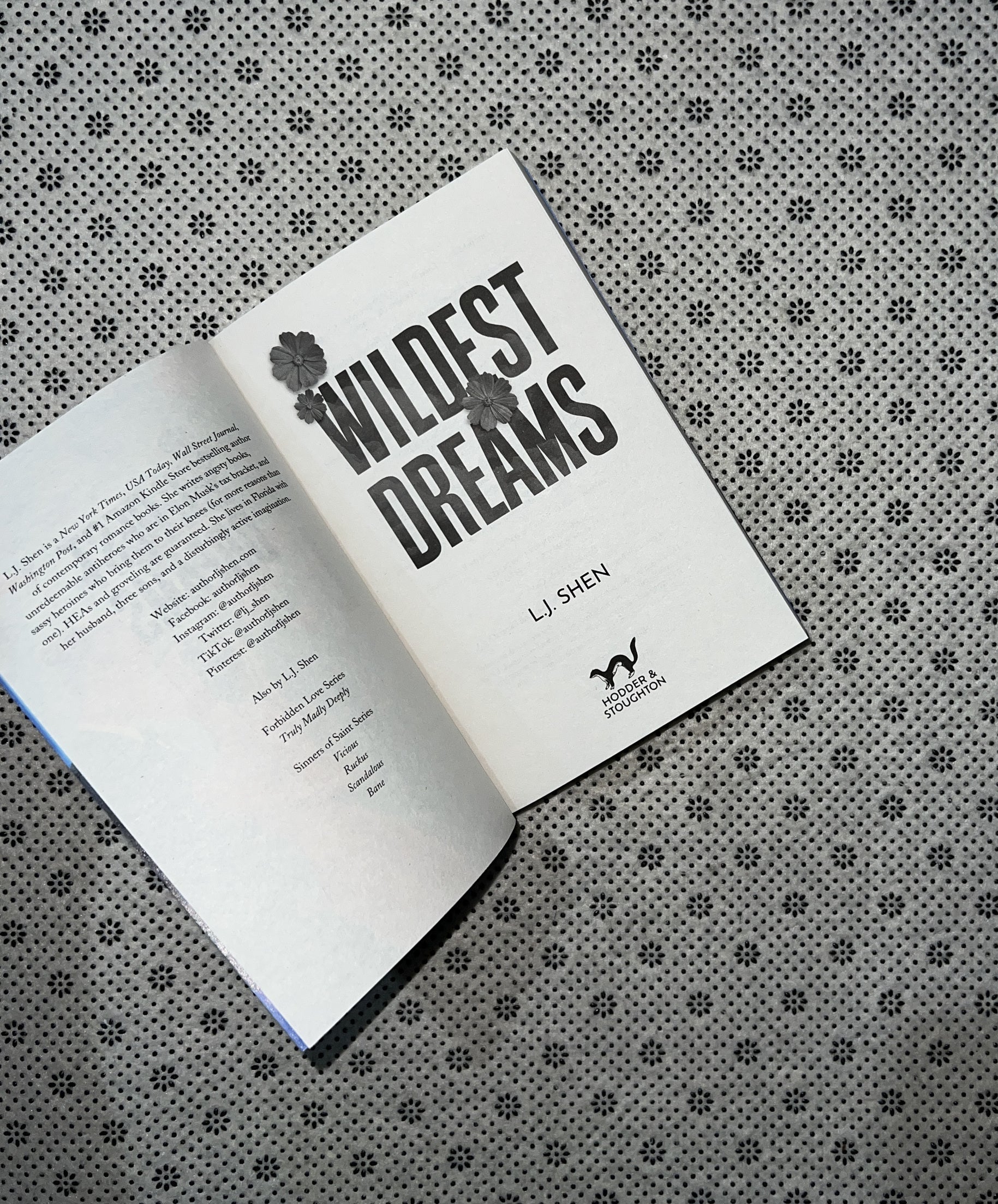 WILDEST DREAMS: Forbidden Love Series (Book 2) by L.J. Shen