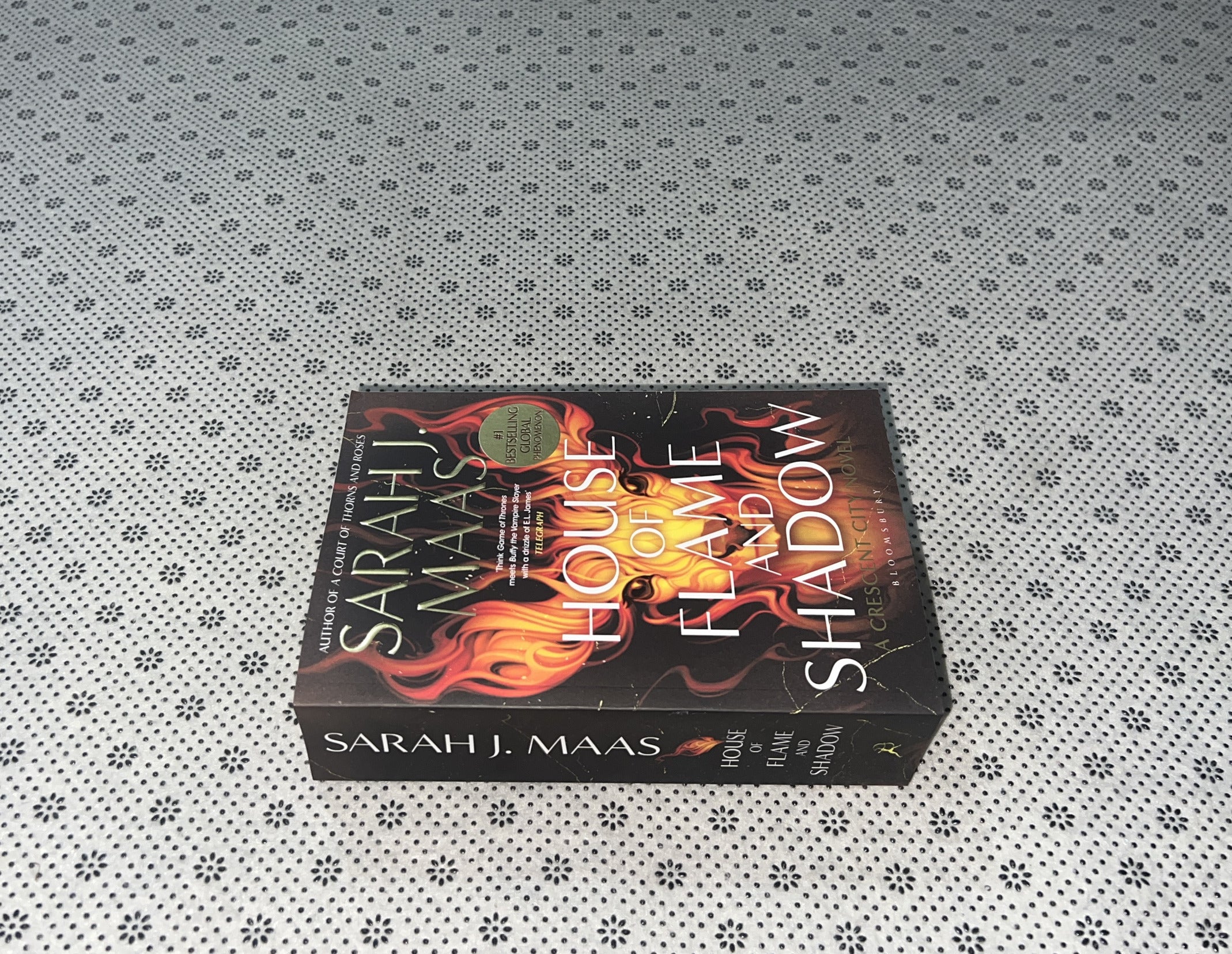 HOUSE OF FLAME AND SHADOW: Crescent City (Book 3) by Sarah J. Maas