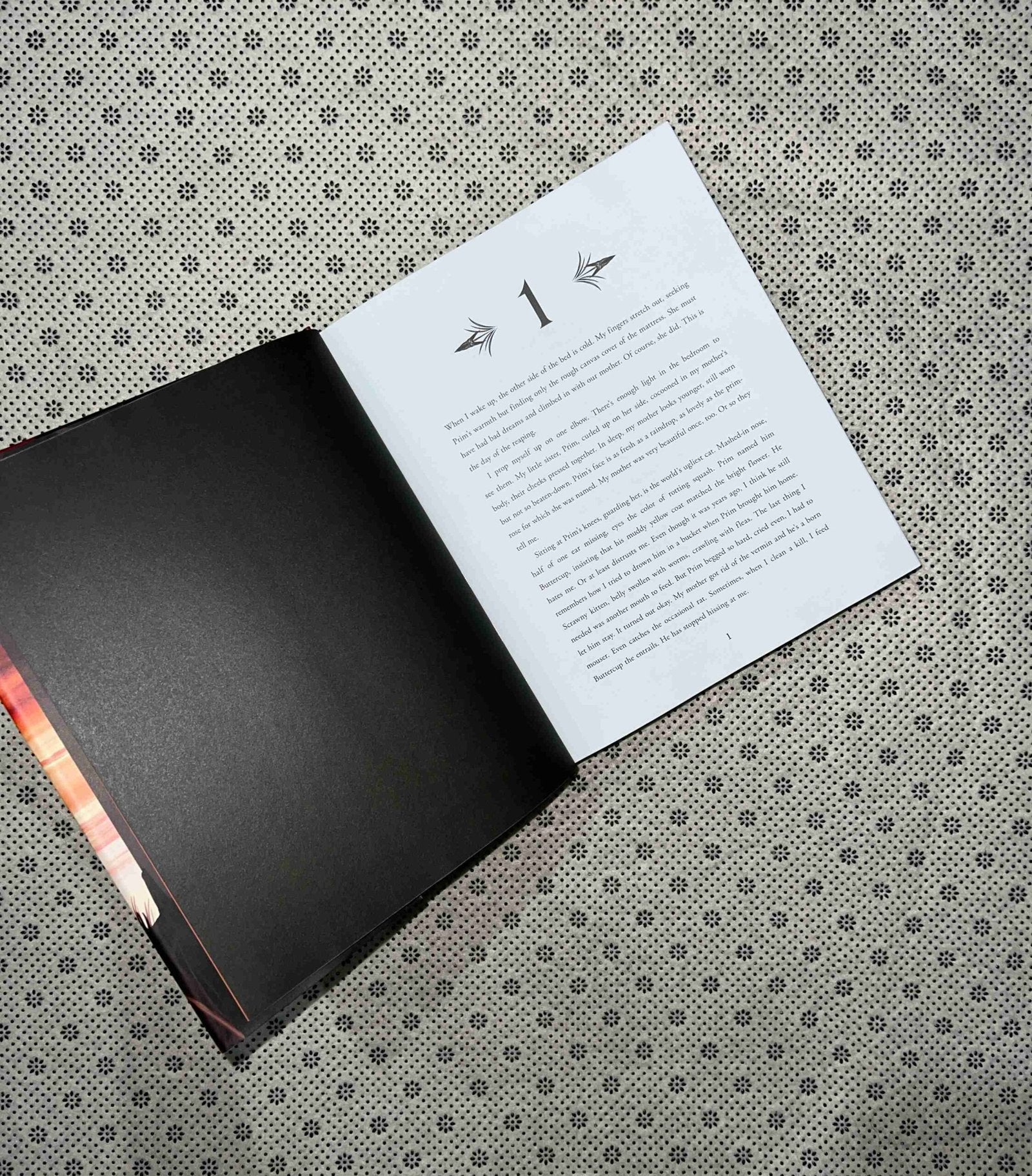 the hunger games the hunger games series book 1 illustrated edition by suzanne collins