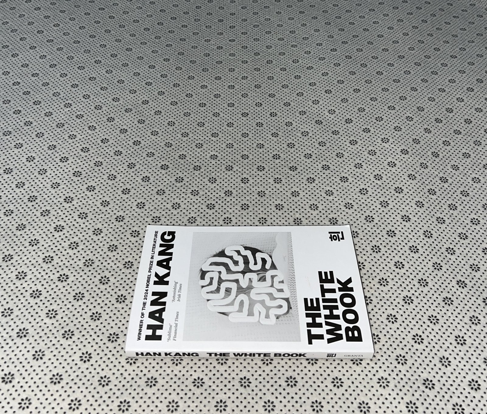 the white book by han kang