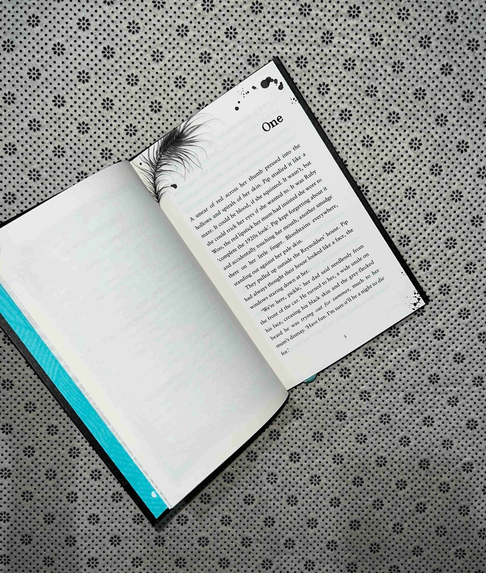kill joy special collectors edition by holly jackson
