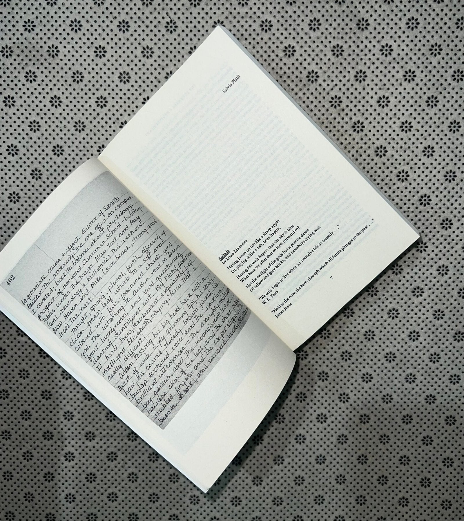 the unabridged journal of sylvia plath by sylvia plath