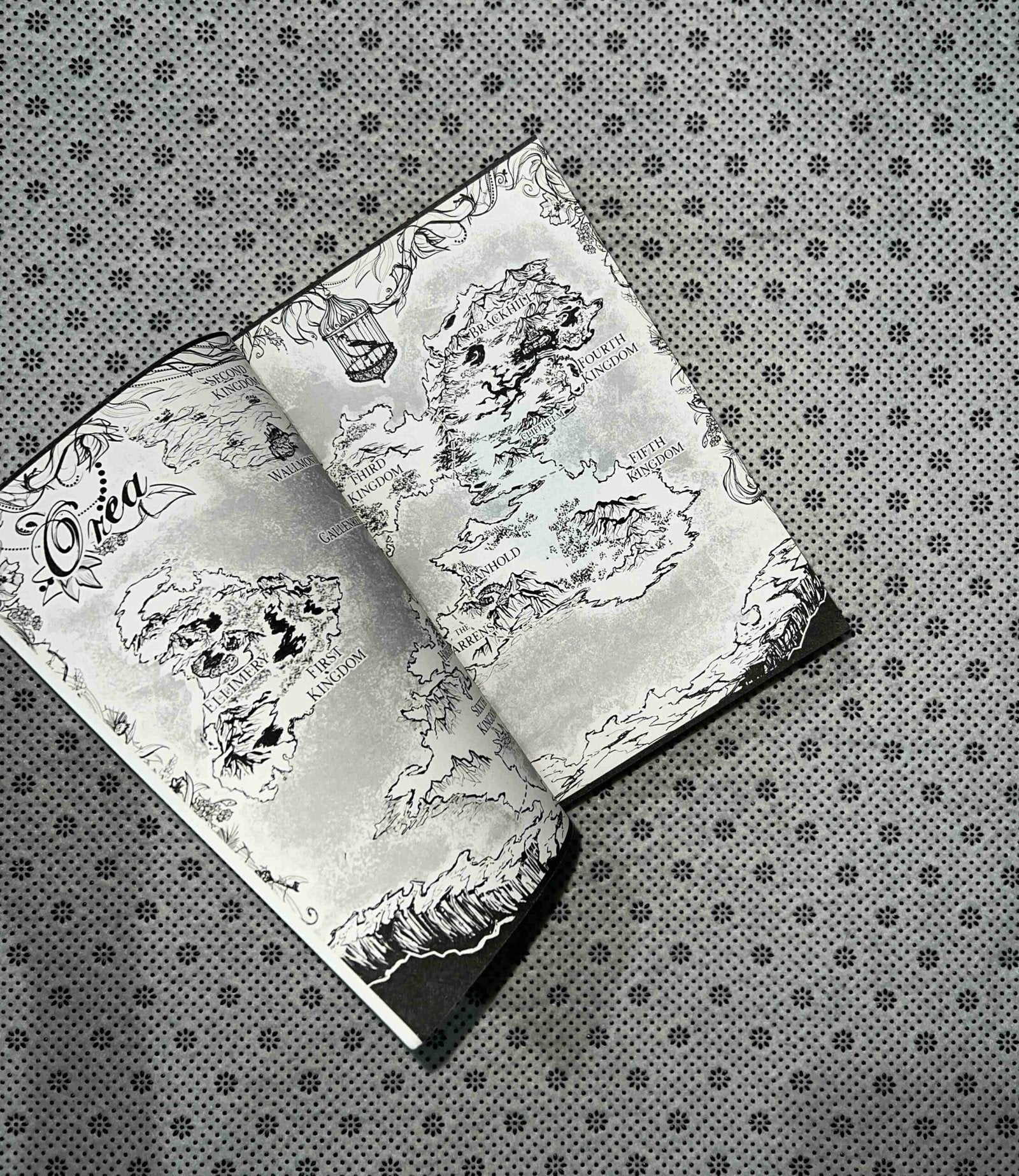 gold plated prisoner series book 5 by raven kennedy