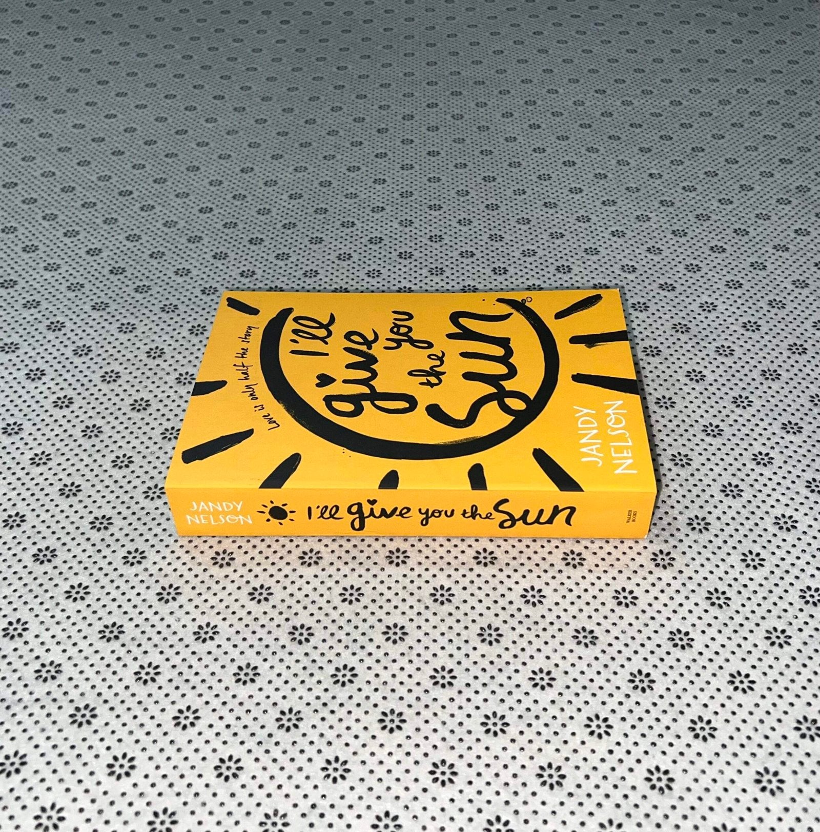 ill give you the sun by jandy nelson