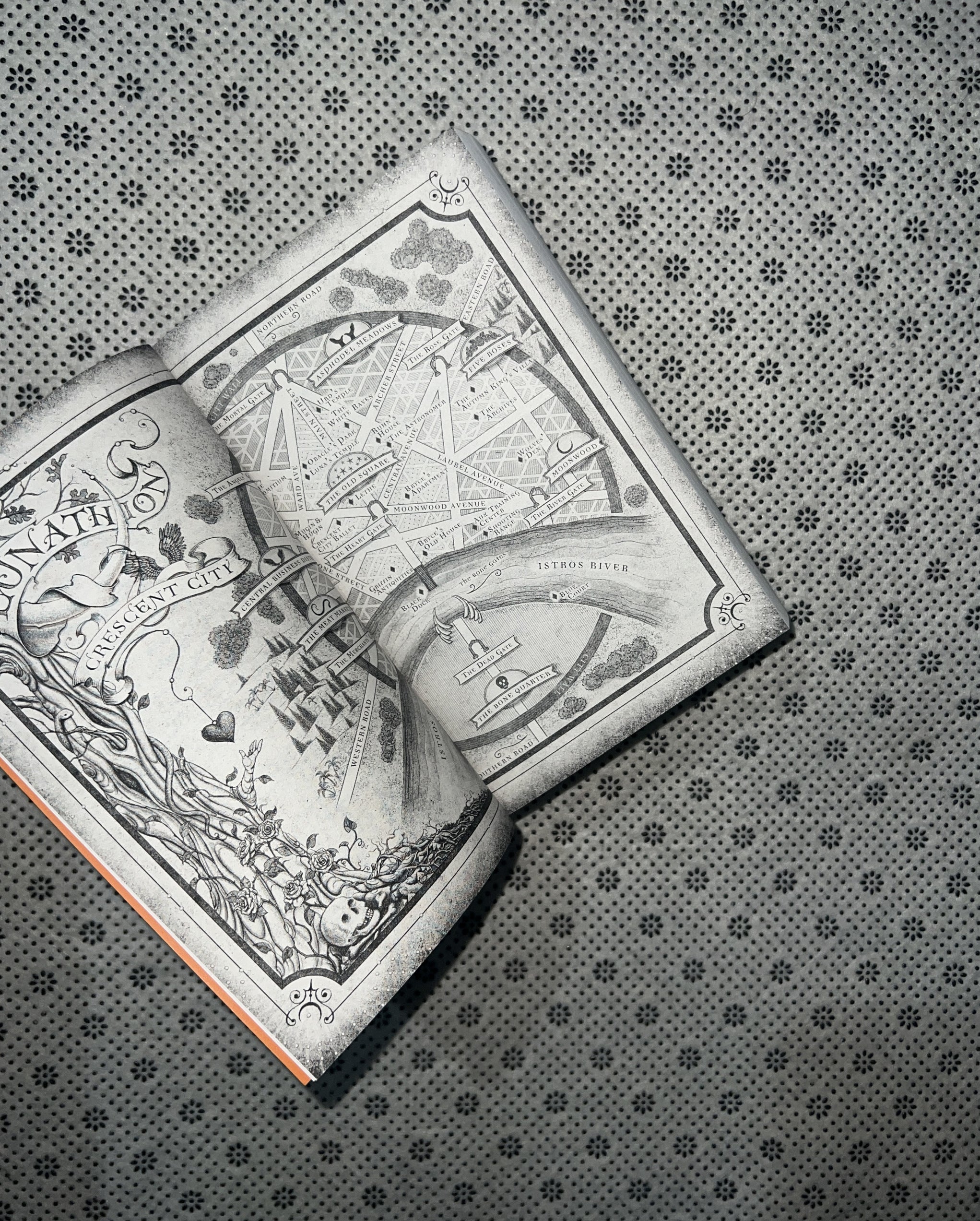 HOUSE OF FLAME AND SHADOW: Crescent City (Book 3) by Sarah J. Maas