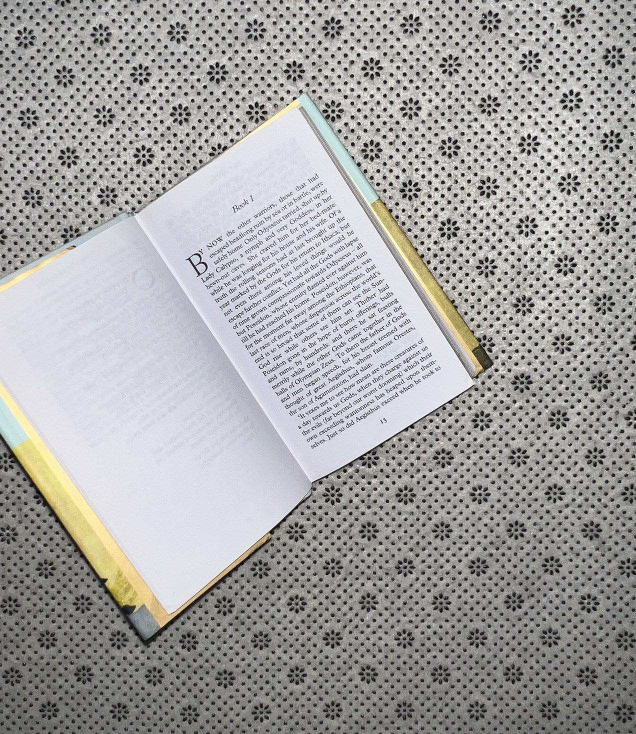 THE ODYSSEY by Homer