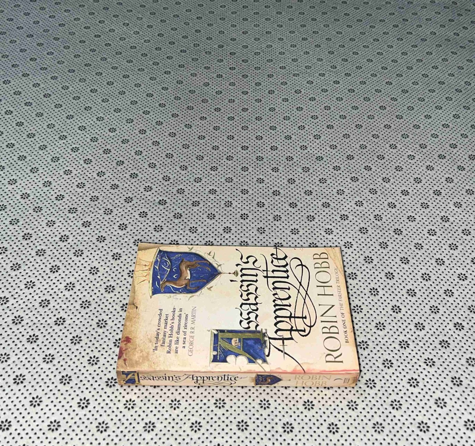 assassins apprentice the farseer series book 1 by robin hobb
