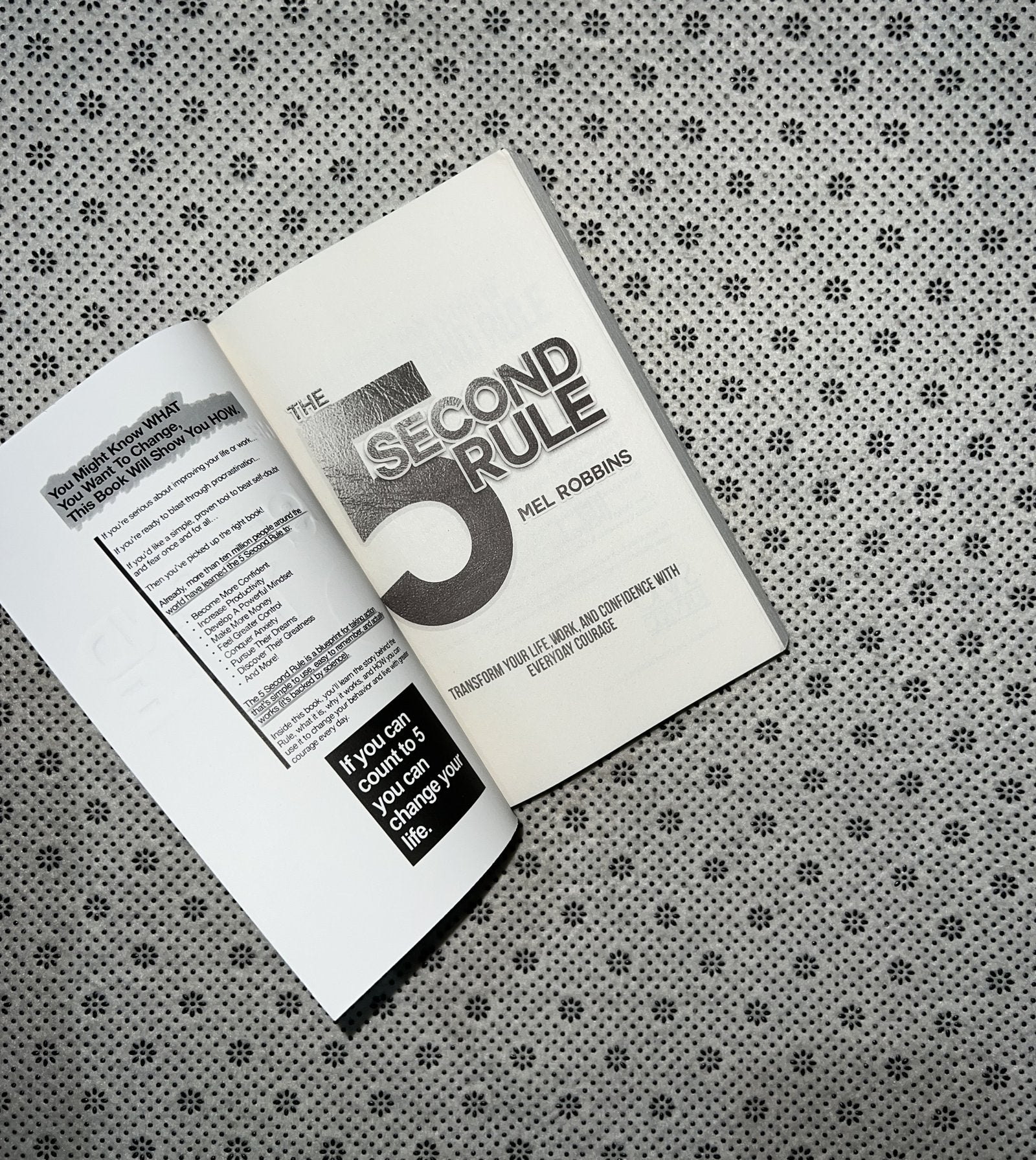 the 5 second rule by mel robbins