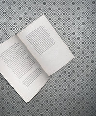 the white book by han kang