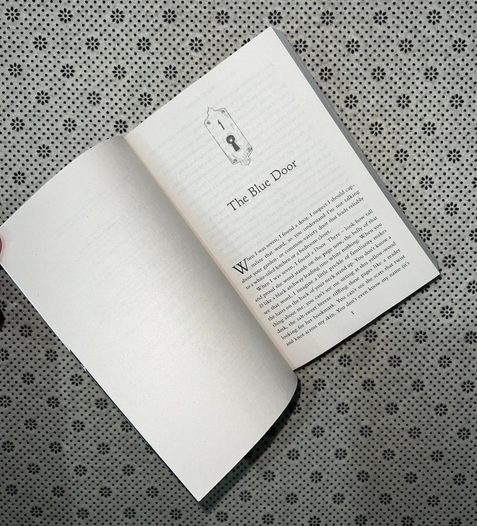 the ten thousand doors of january by alix e harrow