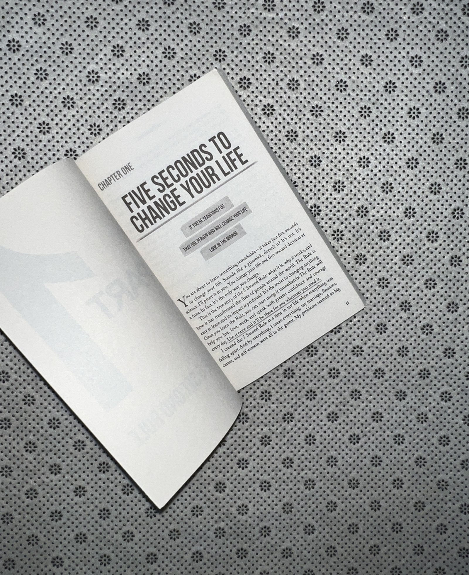 the 5 second rule by mel robbins