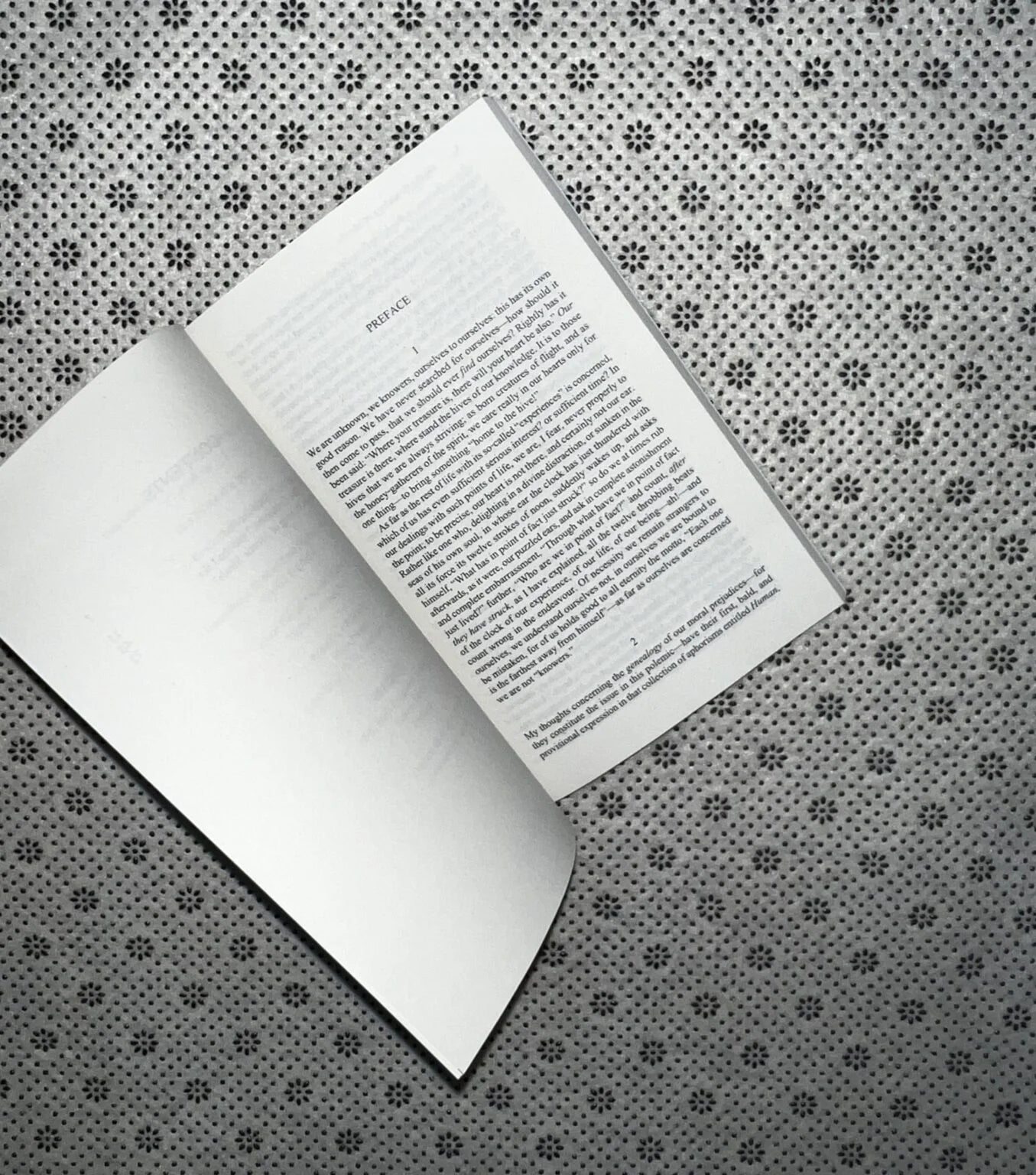 on the genealogy of morals by friedrich nietzsche