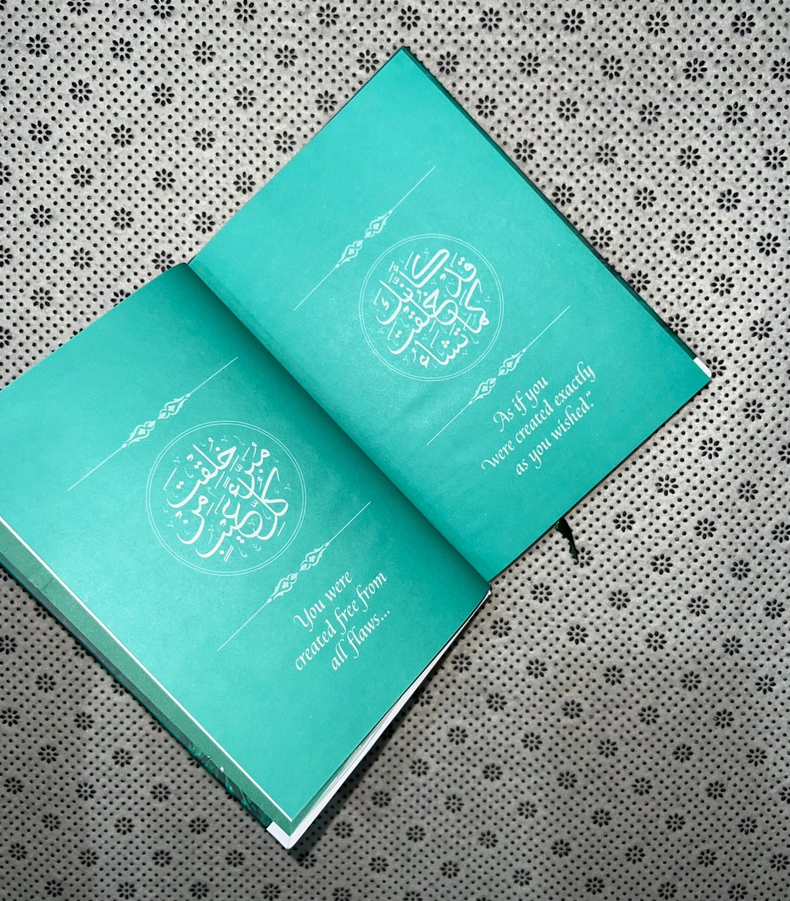 meeting muhammad by omar suleiman