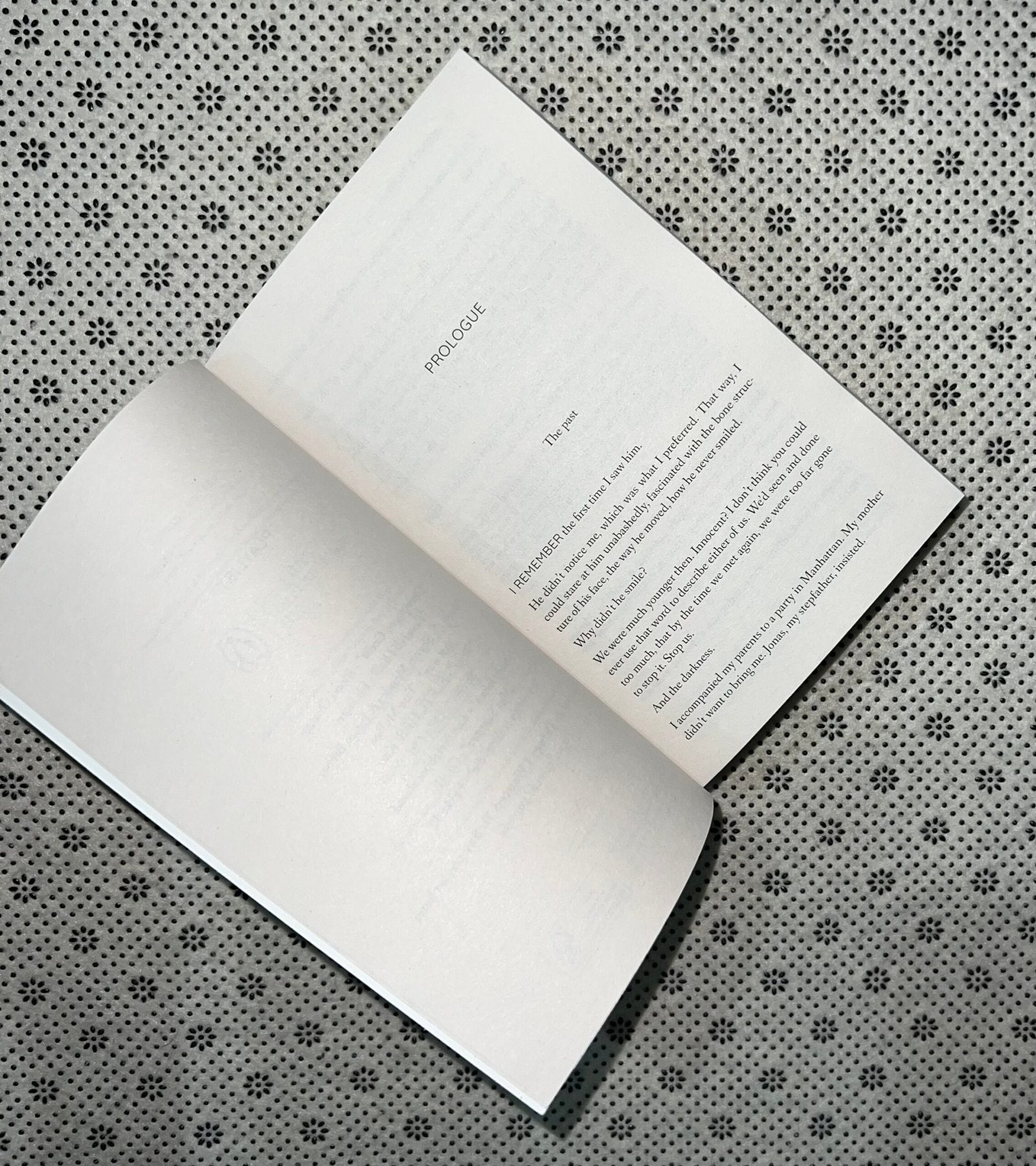 things i wanted to say by monica murphy