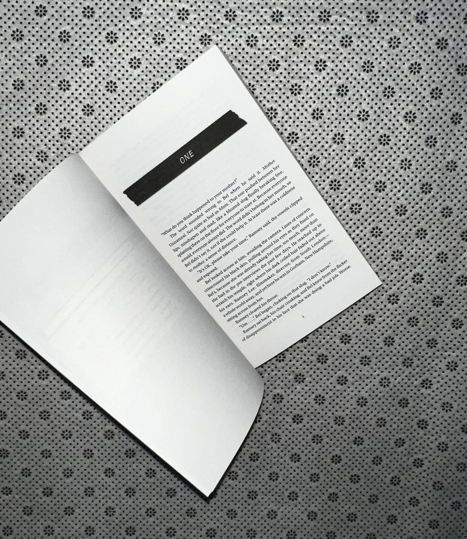 the reappearance of rachel price by holly jackson