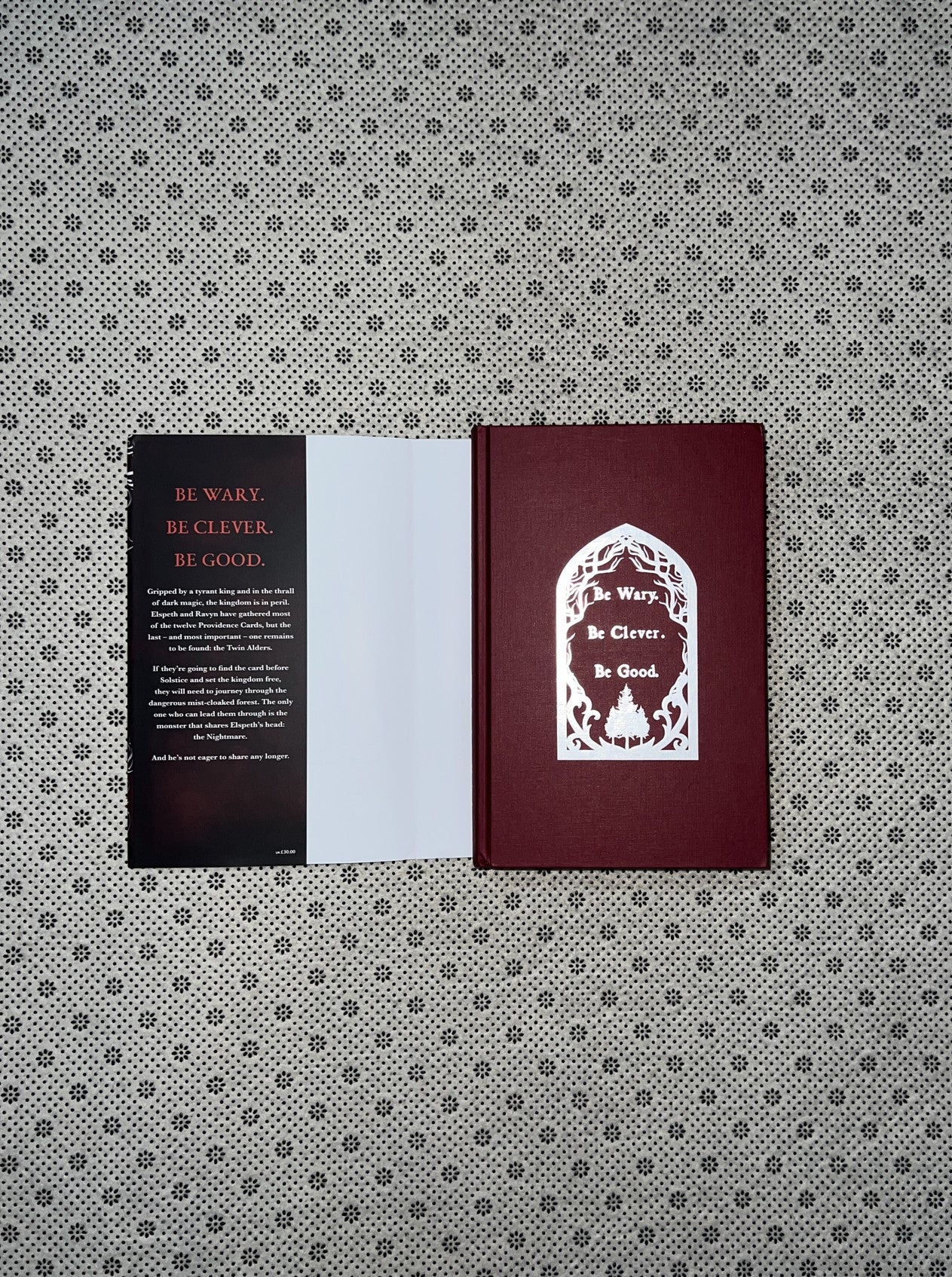 TWO TWISTED CROWNS by Rachel Gillig 