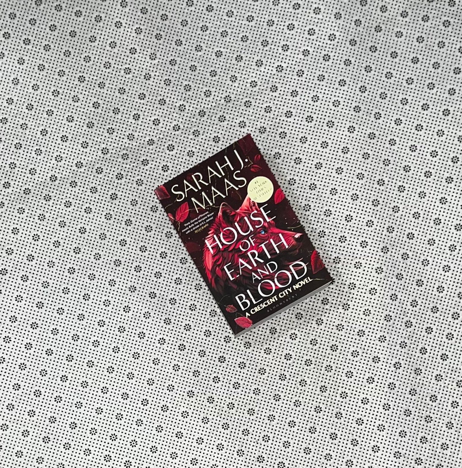 house of earth and blood crescent city series book 1 by sarah j maas