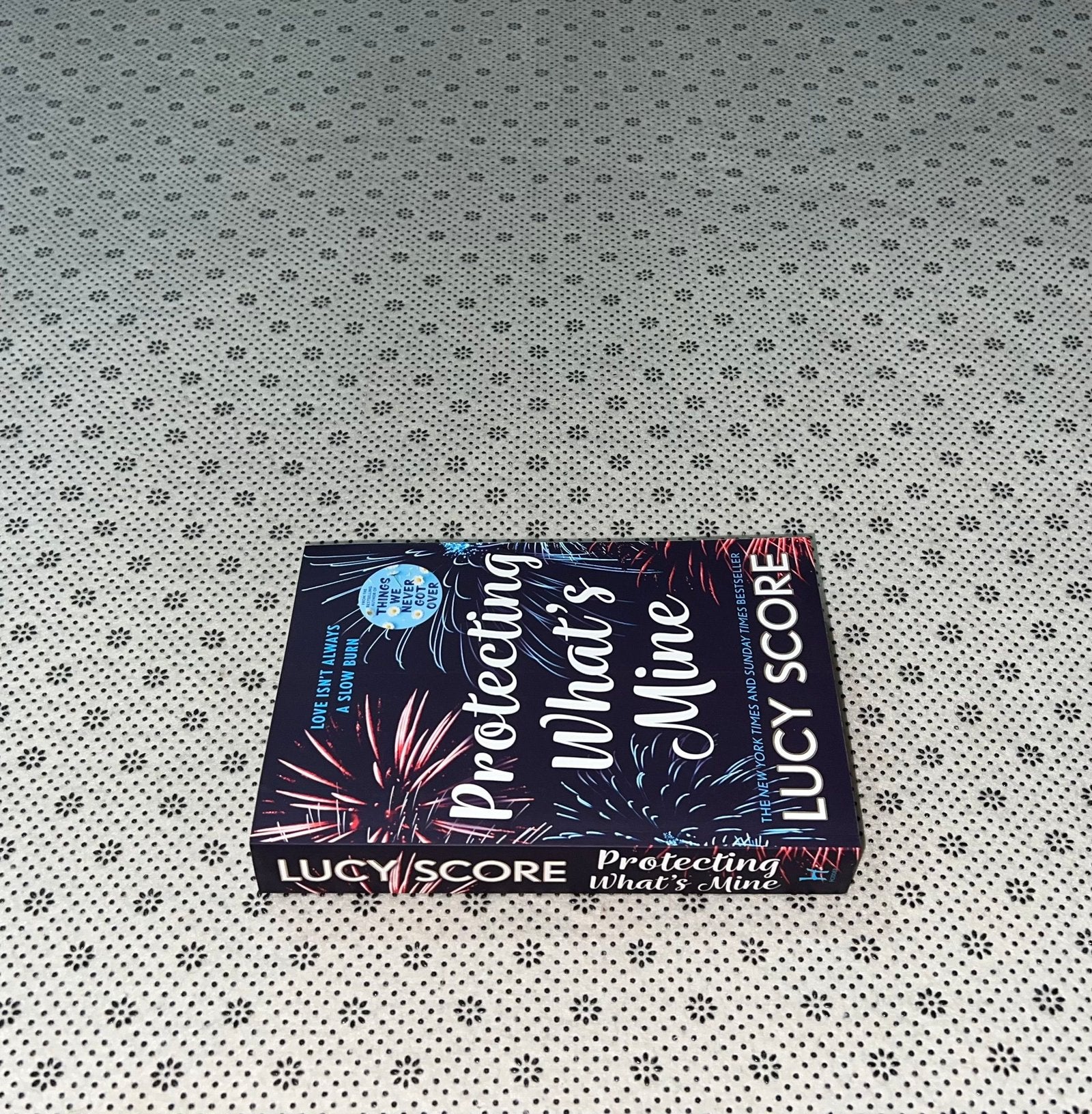 protecting whats mine the benevolence series book 3 by lucy score