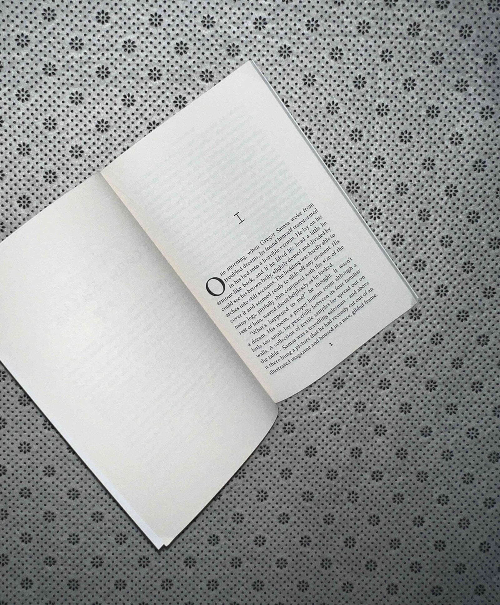 the metamorphosis by franz kafka 1