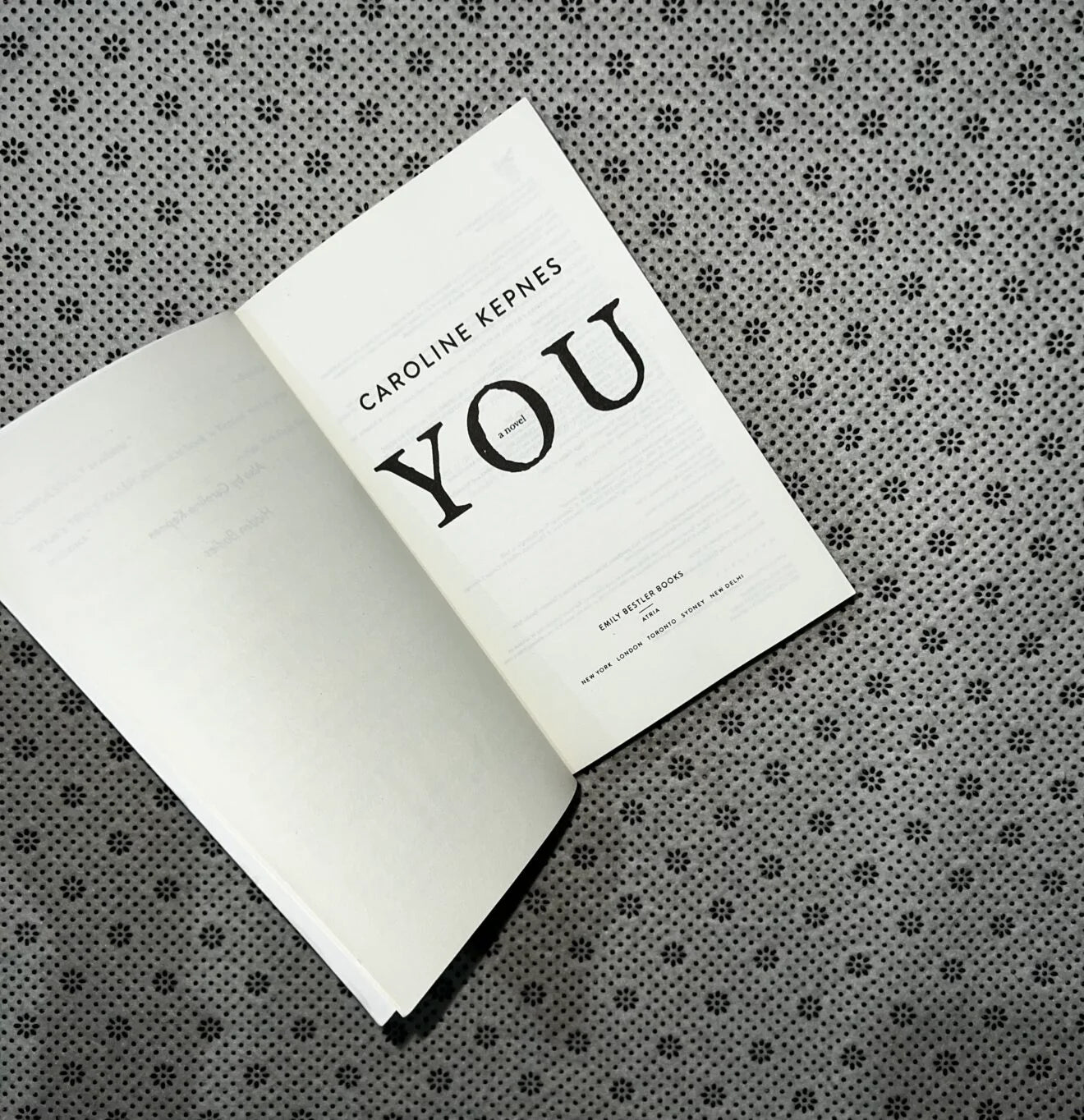 you you series book 1 by caroline kepnes
