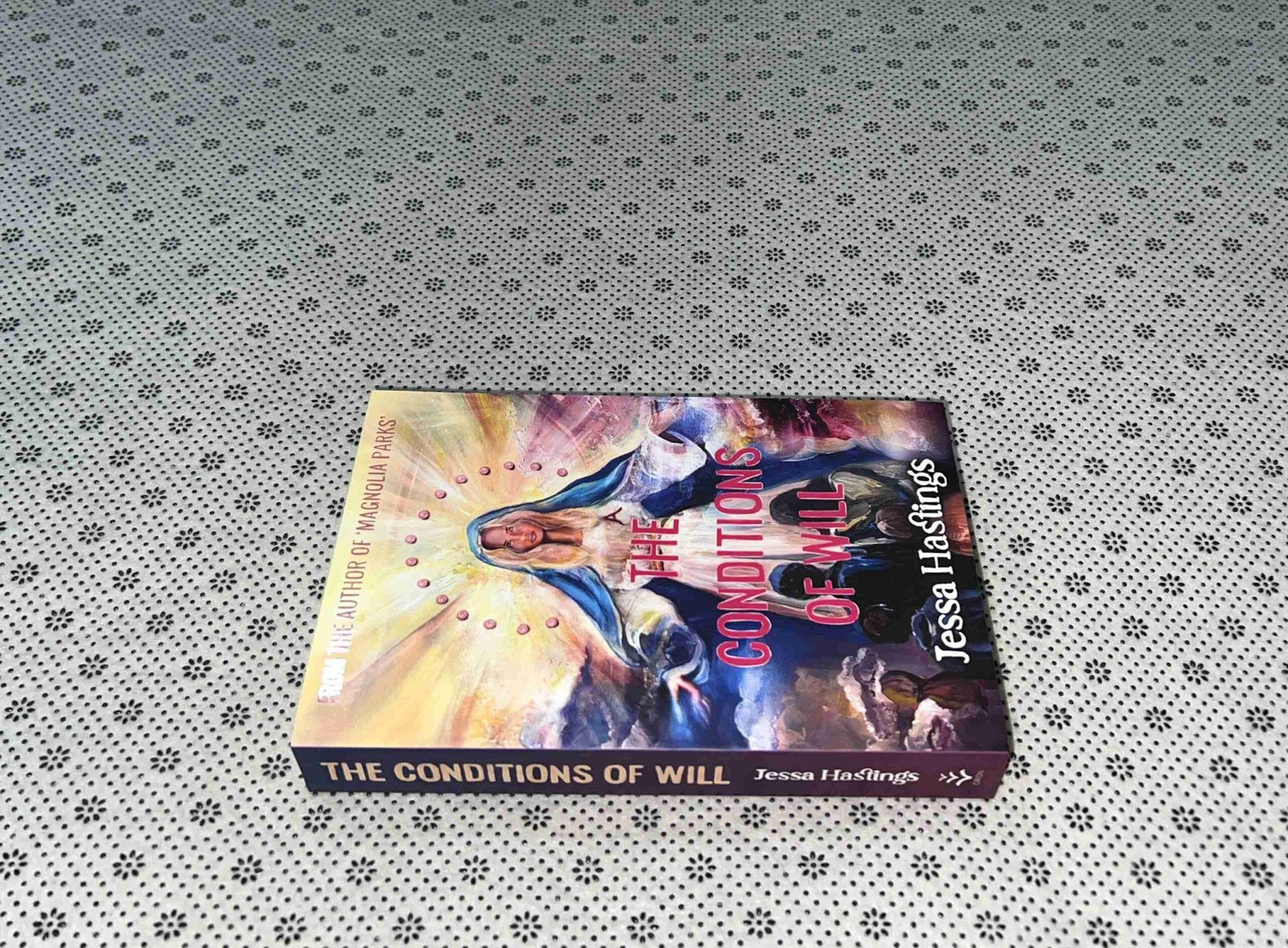 the conditions of will by jessa hastings