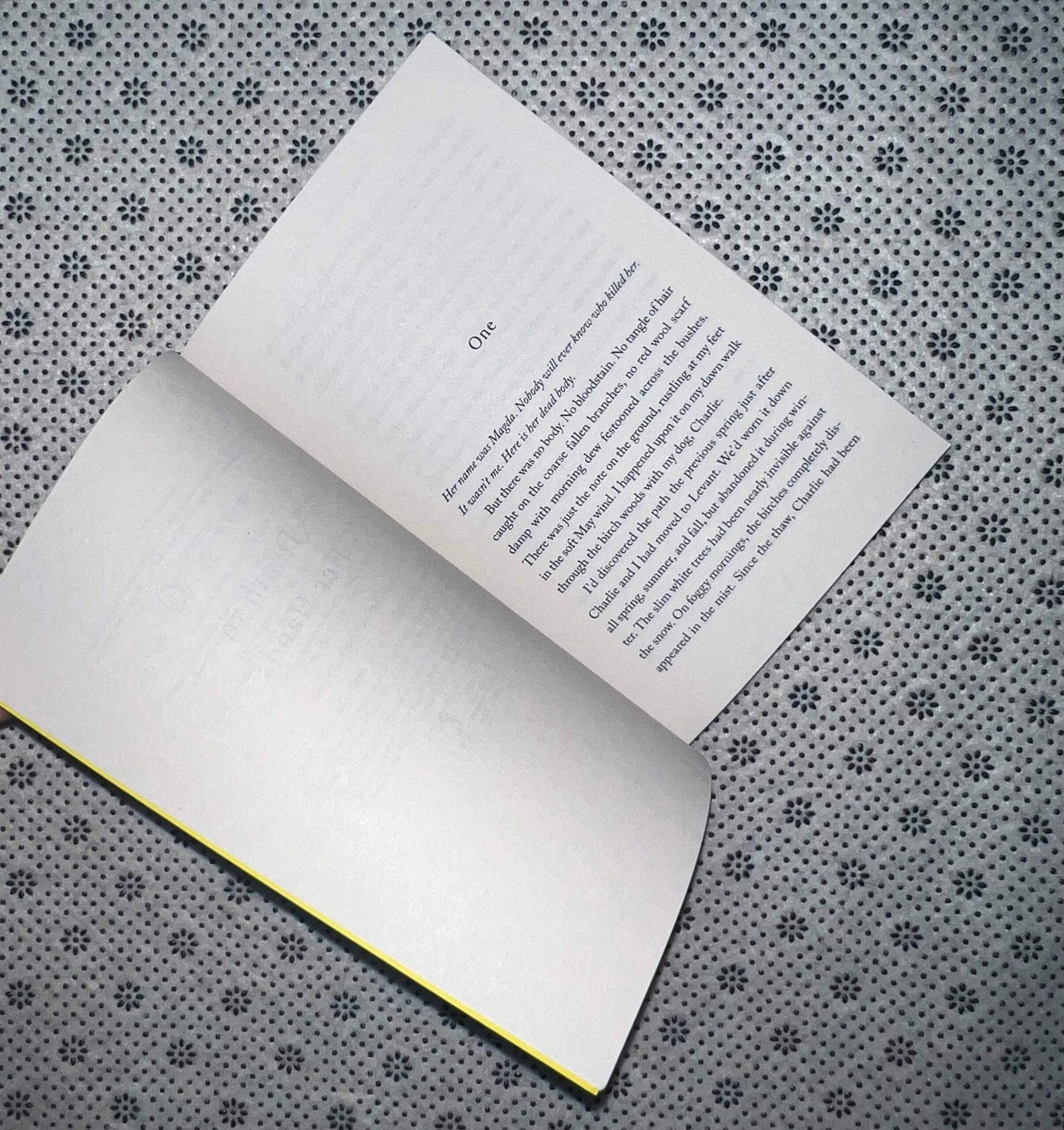 death in her hands by ottessa moshfegh