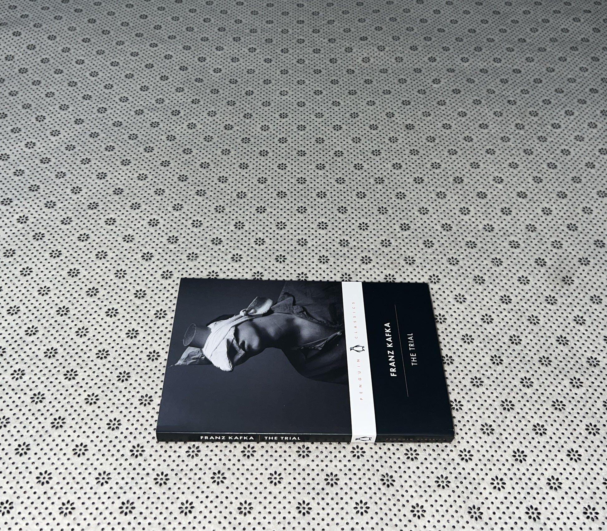 THE TRIAL by Franz Kafka