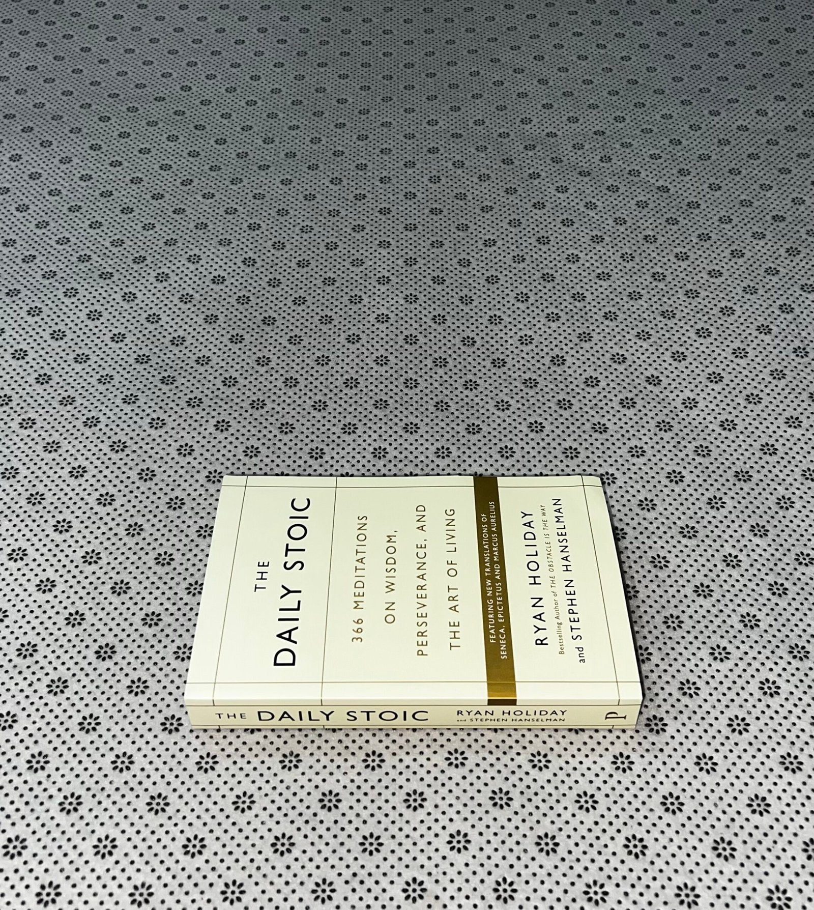the daily stoic 366 meditations on wisdom perseverance and the art of living by ryan holiday 1
