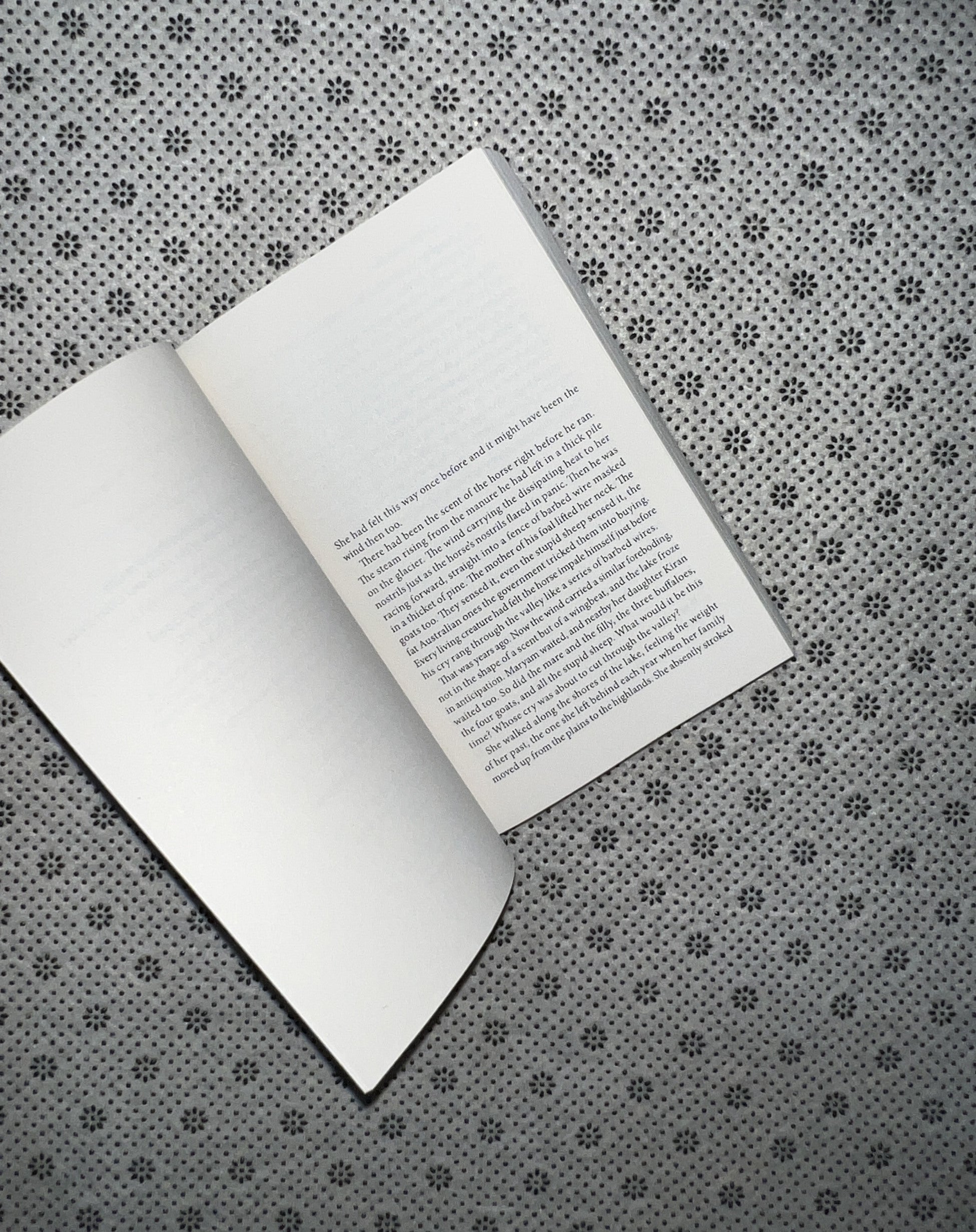 THINNER THAN SKIN by Uzma Aslam Khan