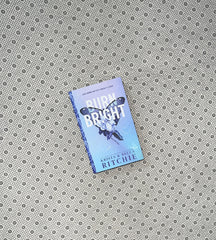 BURN BRIGHT: Cobalt Empire (Book 1) by Krista Ritchie & Becca Ritchie