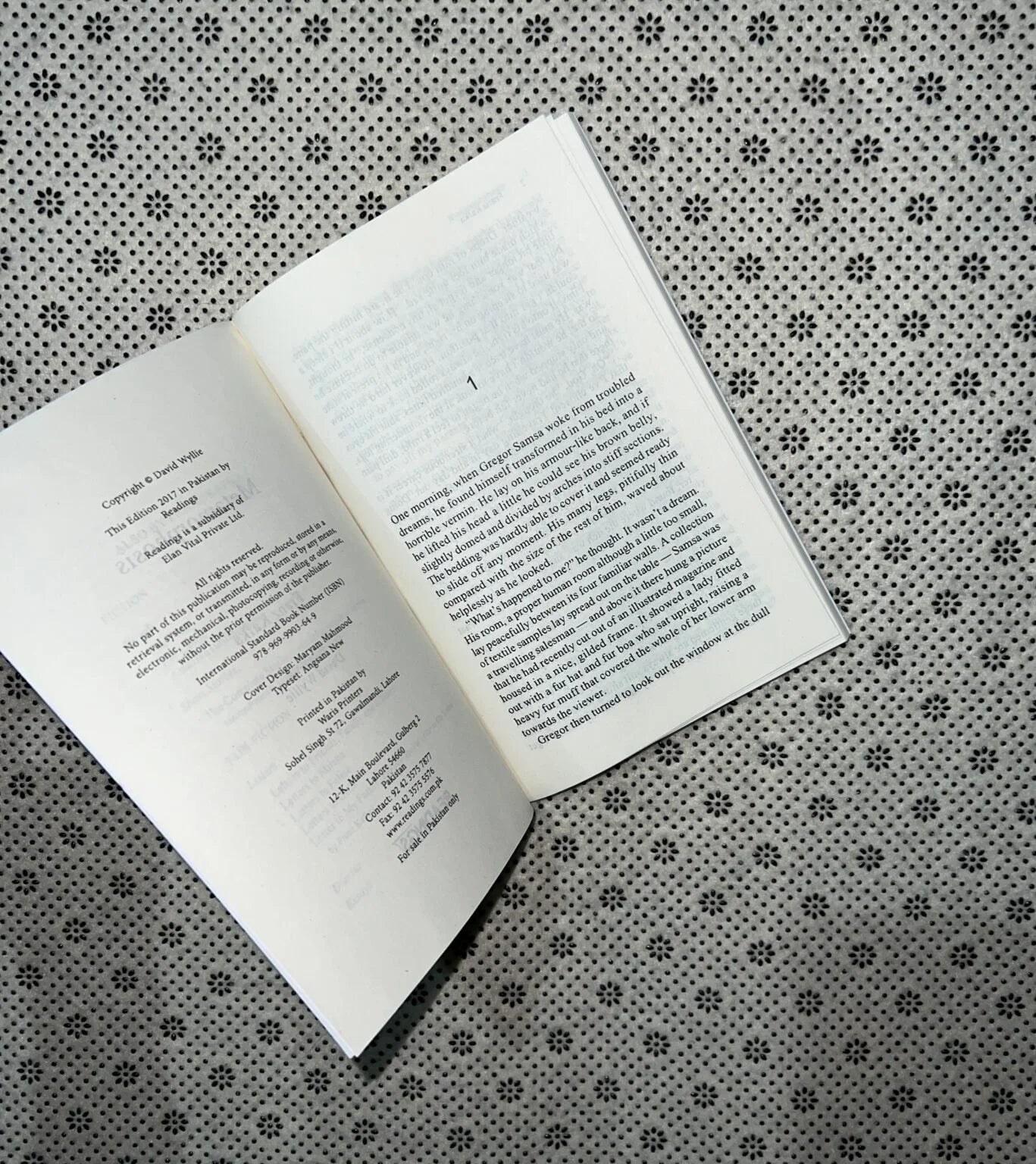the metamorphosis by franz kafka