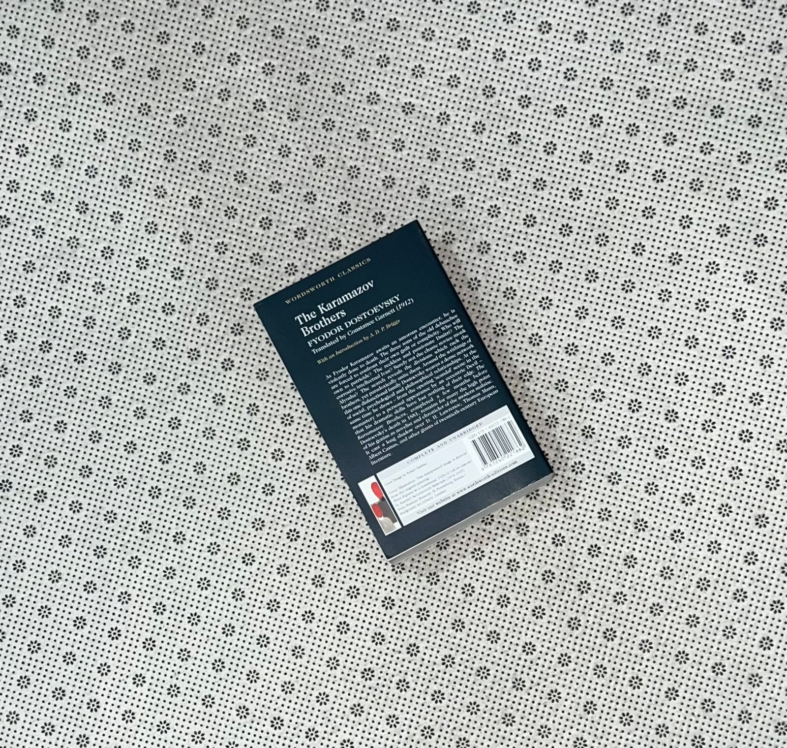 the karamazov brothers wordsworth classics by fyodor dostoyevsky