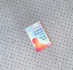 10 minutes 38 seconds in this strange world by elif shafak