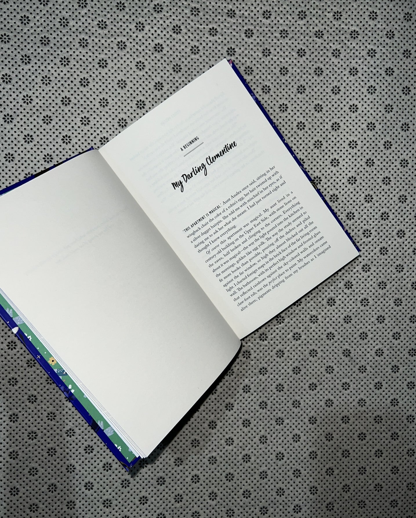 THE SEVEN YEAR SLIP (Collector's Edition) by Ashley Poston