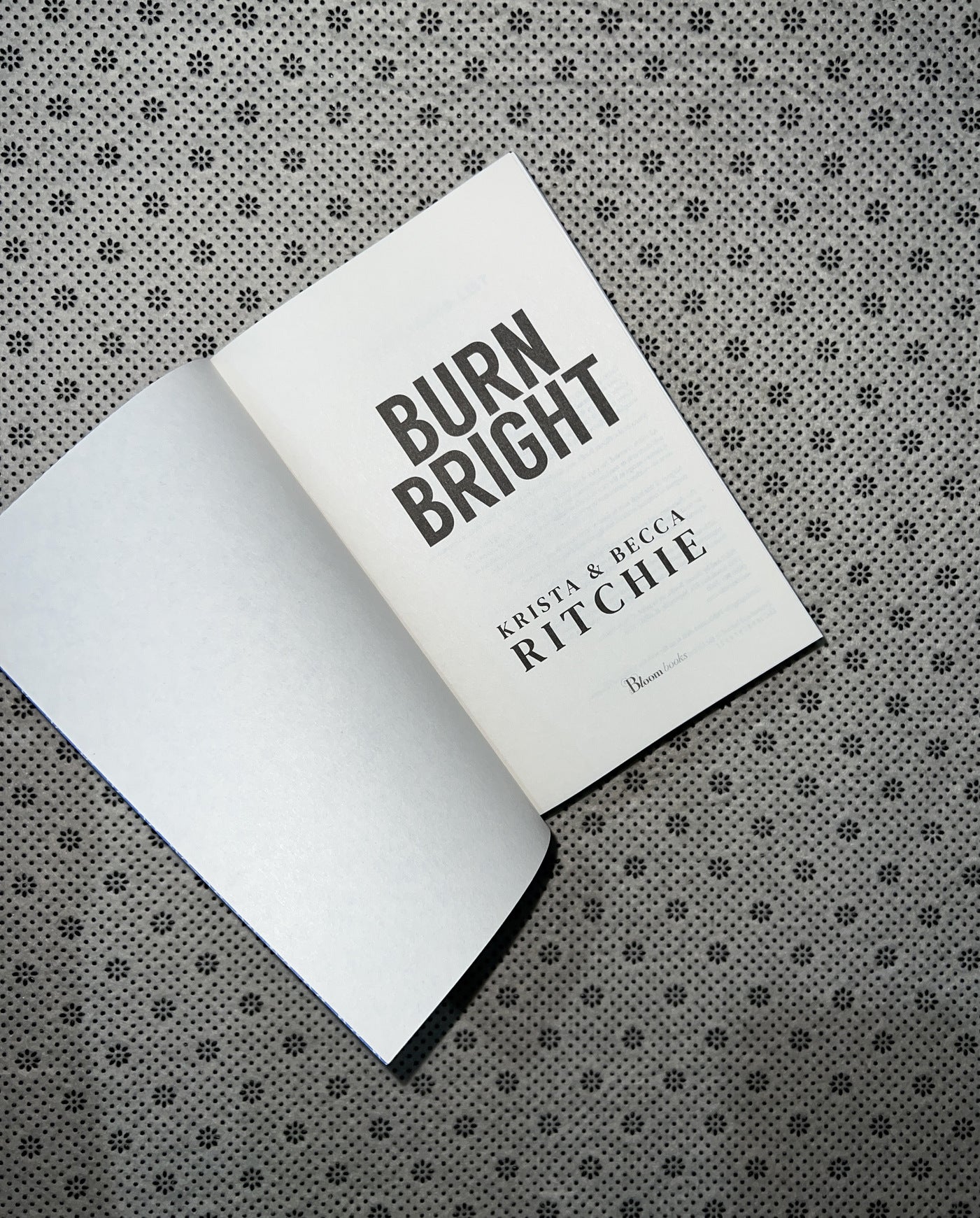 BURN BRIGHT: Cobalt Empire (Book 1) by Krista Ritchie & Becca Ritchie