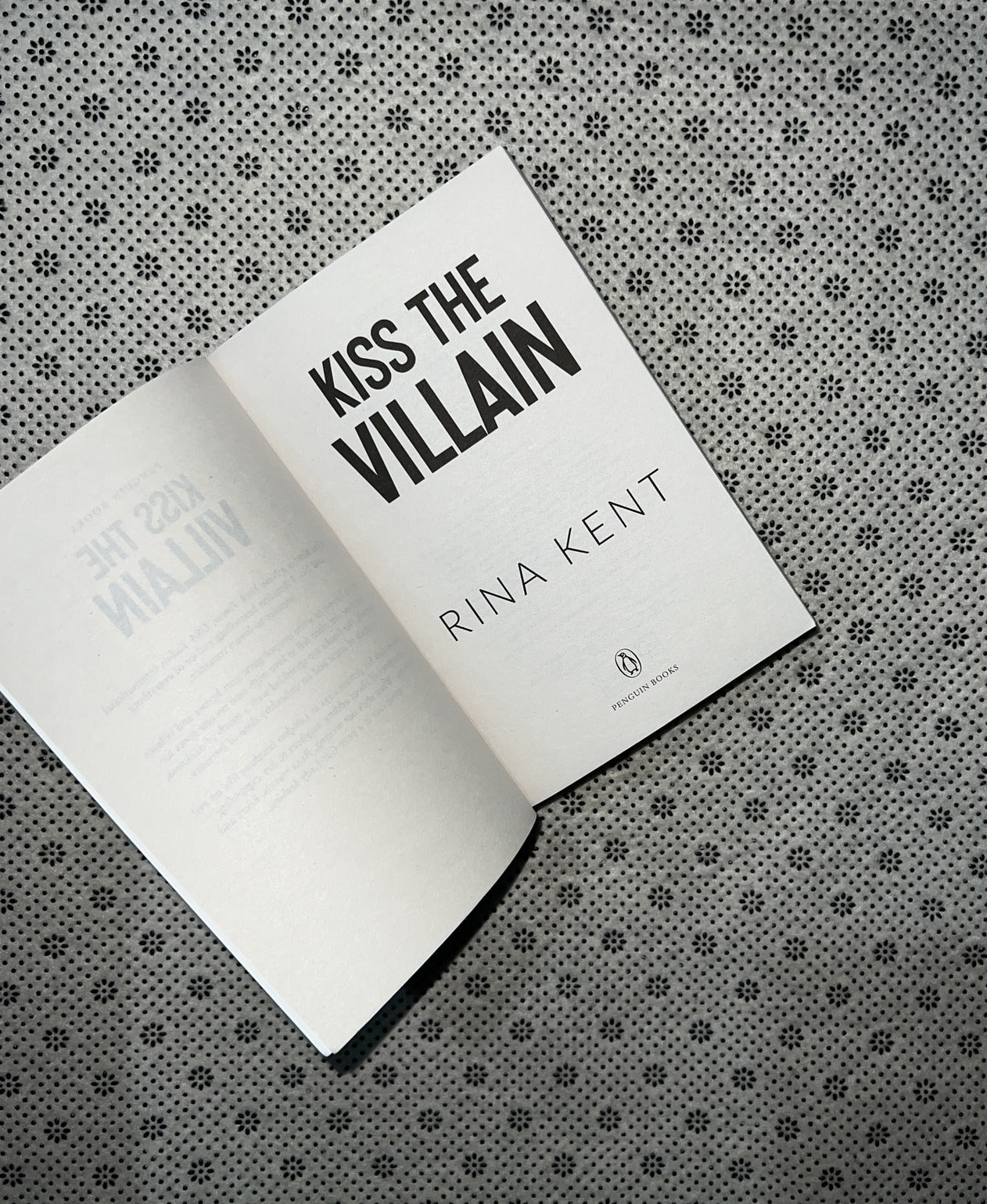 KISS THE VILLAIN: (A Dark MM Enemies to Lovers Romance) by Rina Kent 