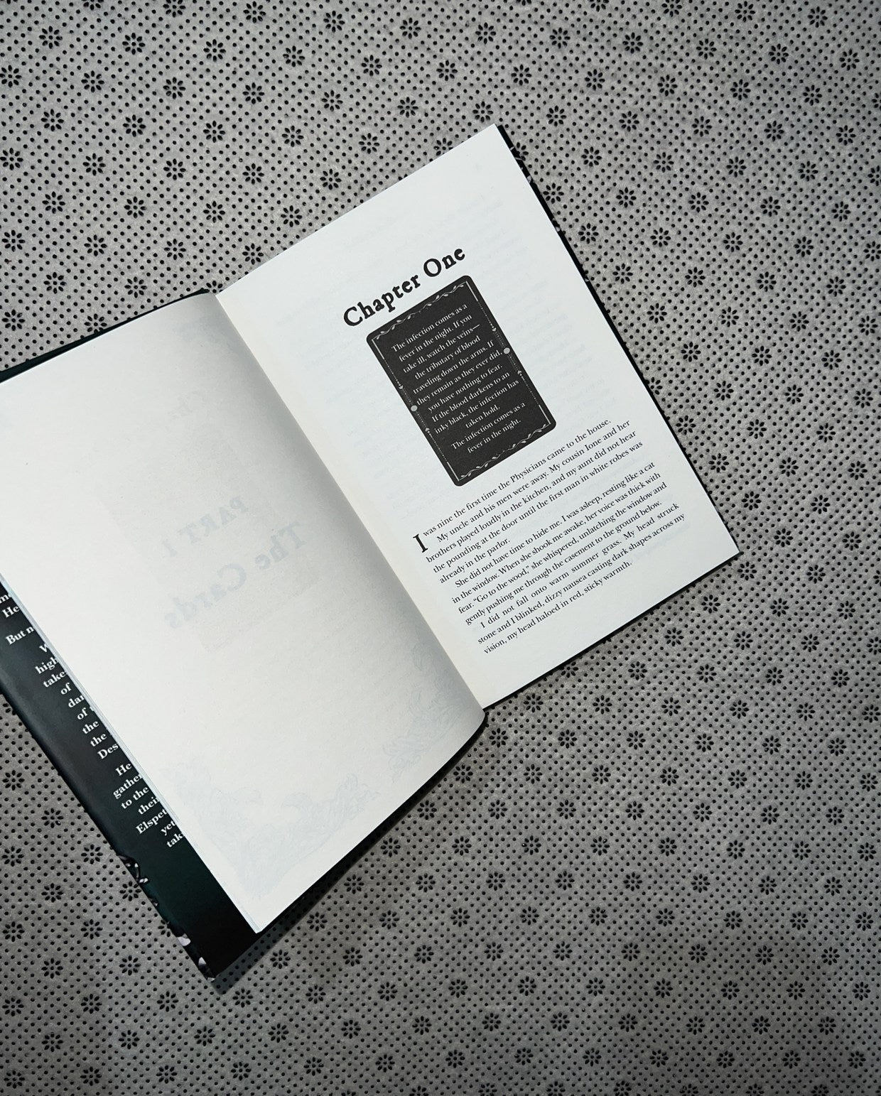 ONE DARK SHADOW by Rachel Gillig