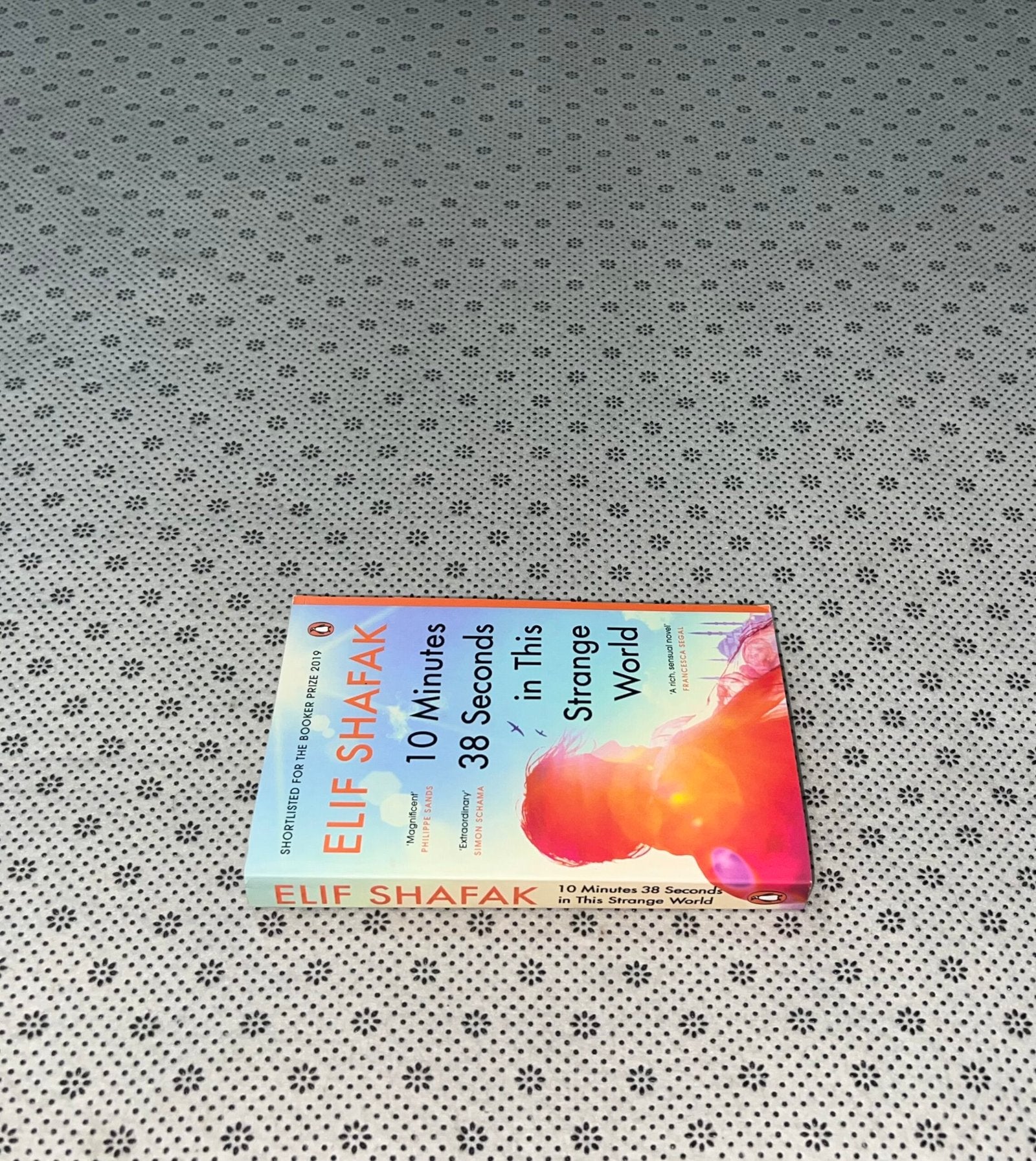 10 minutes 38 seconds in this strange world by elif shafak