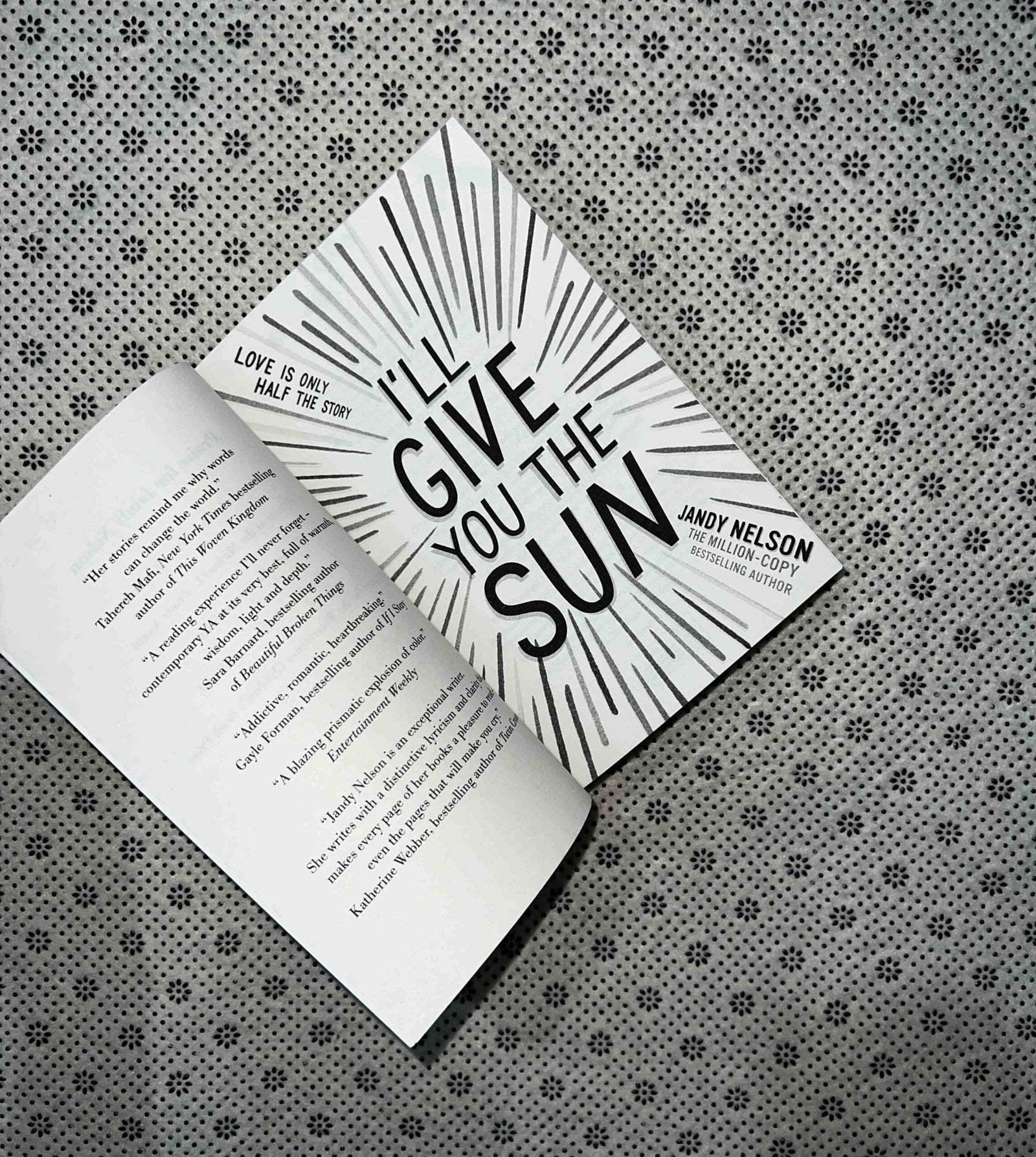 ill give you the sun by jandy nelson 1