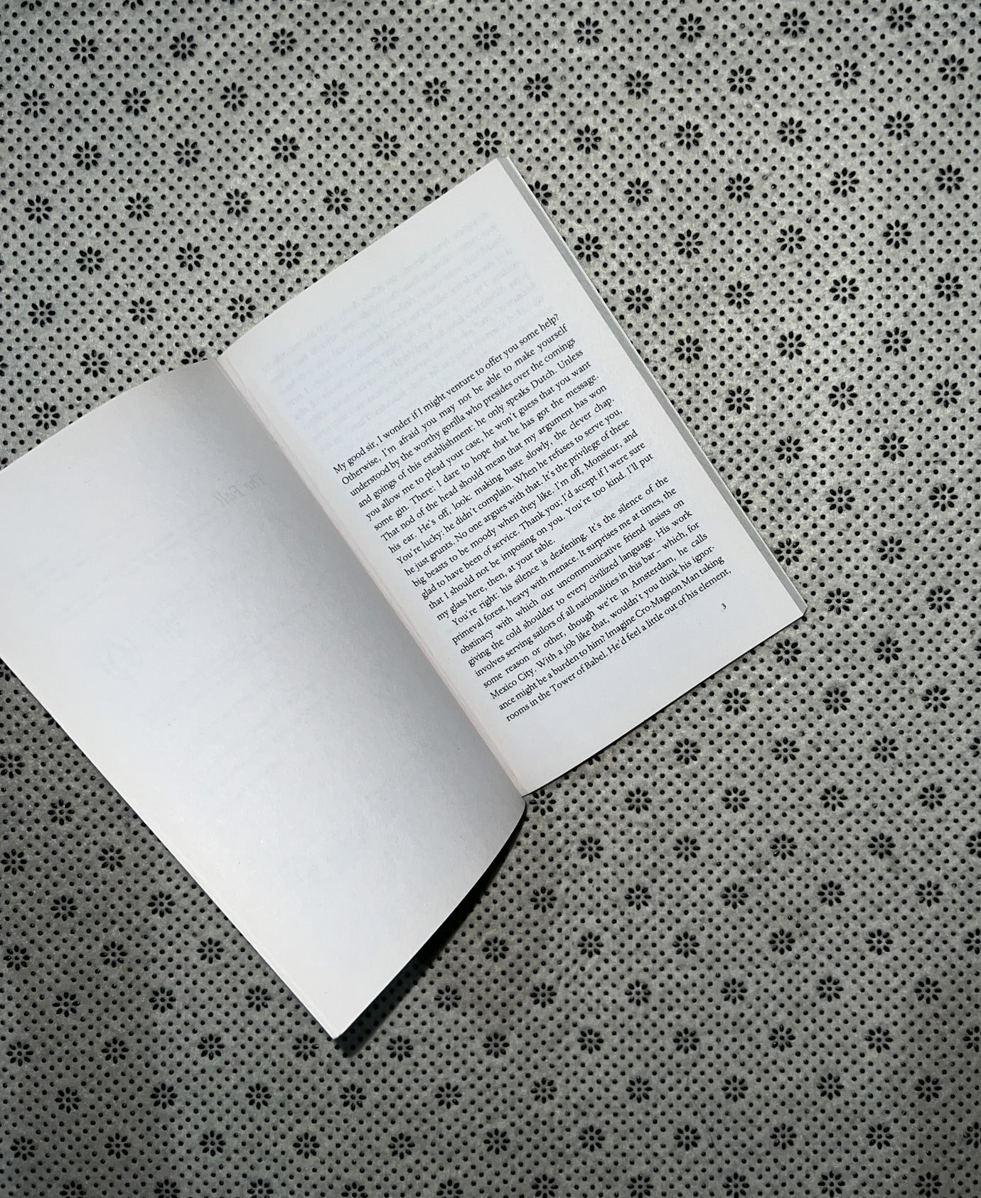 THE FALL by Albert Camus 
