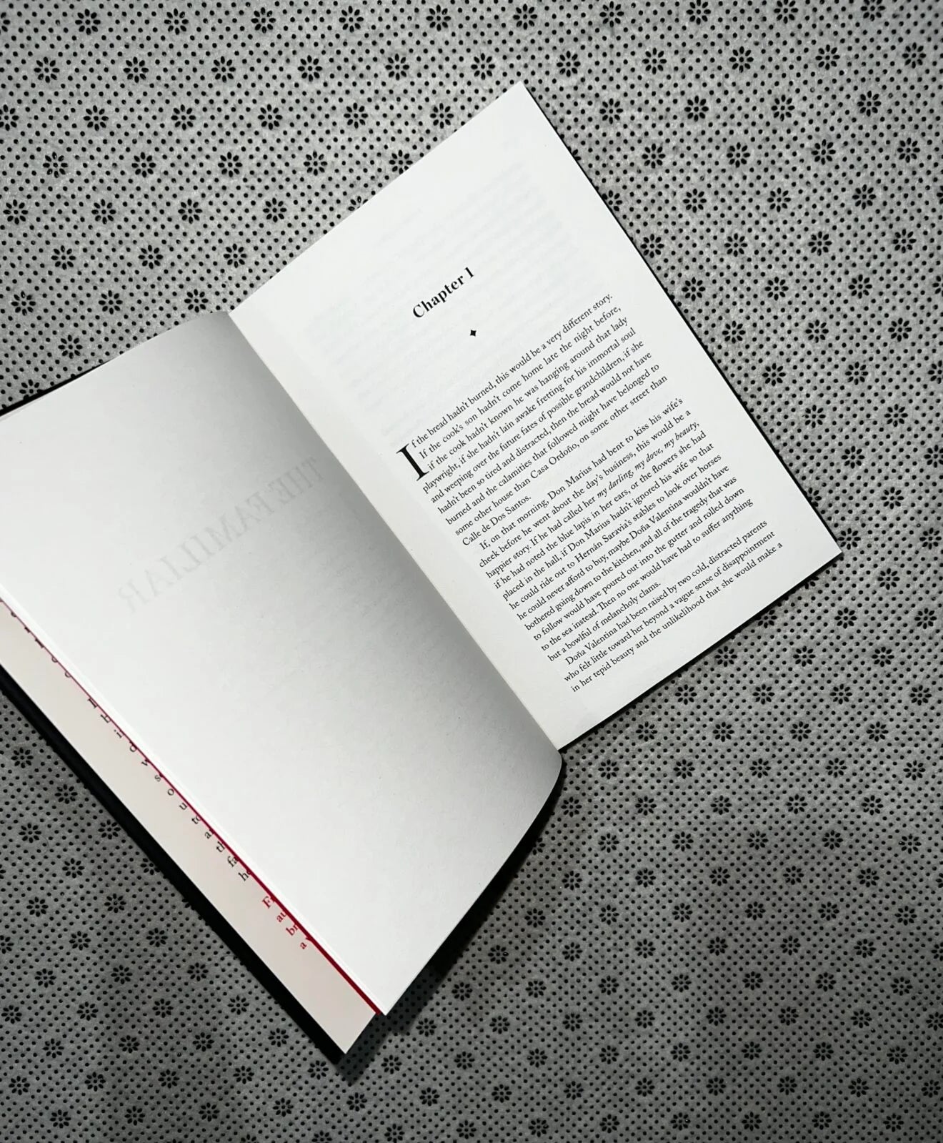the familiar by leigh bardugo